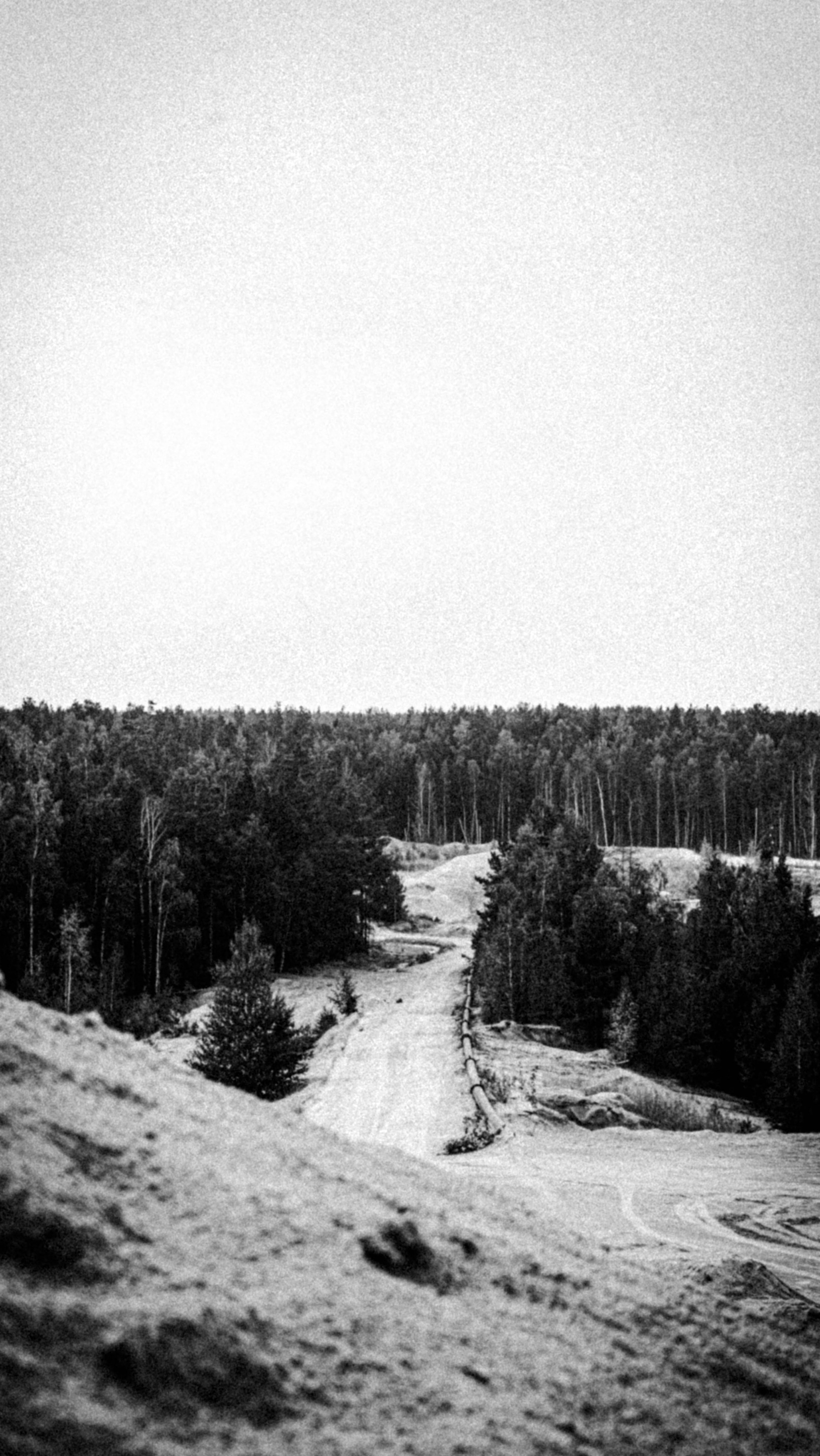 Natural Noir. Whoii art