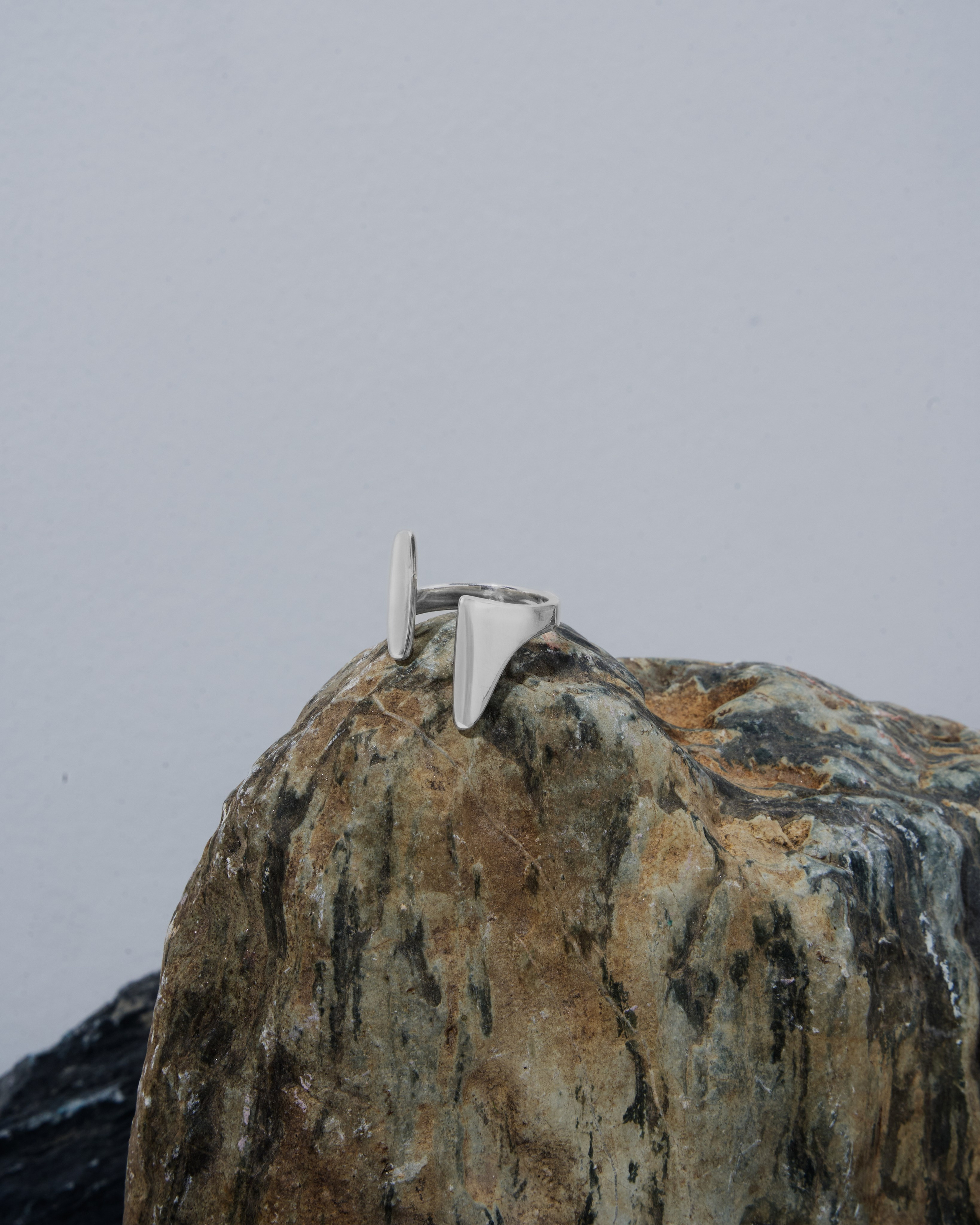 Silverica. Главная