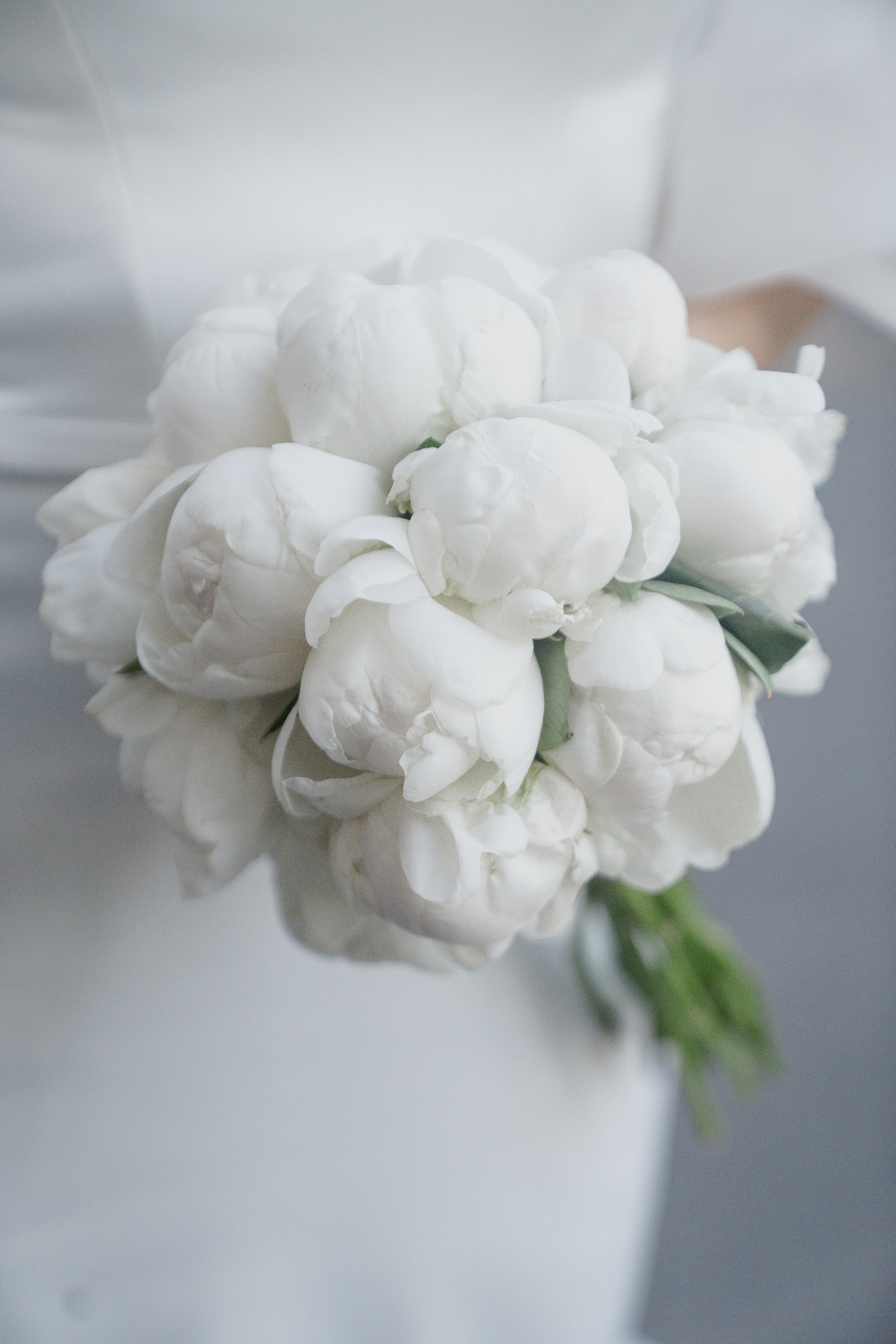 Т | Г. Свадебный фотограф ПИТЕР | МОСКВА