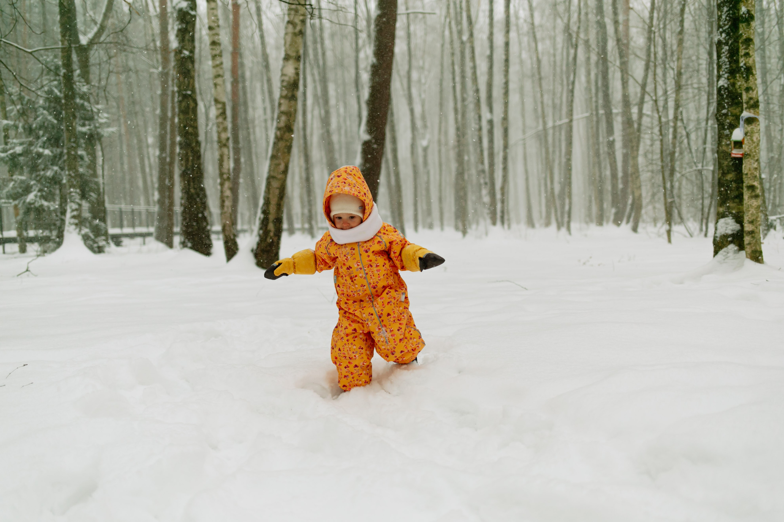 Кирилл, Марина, Саша