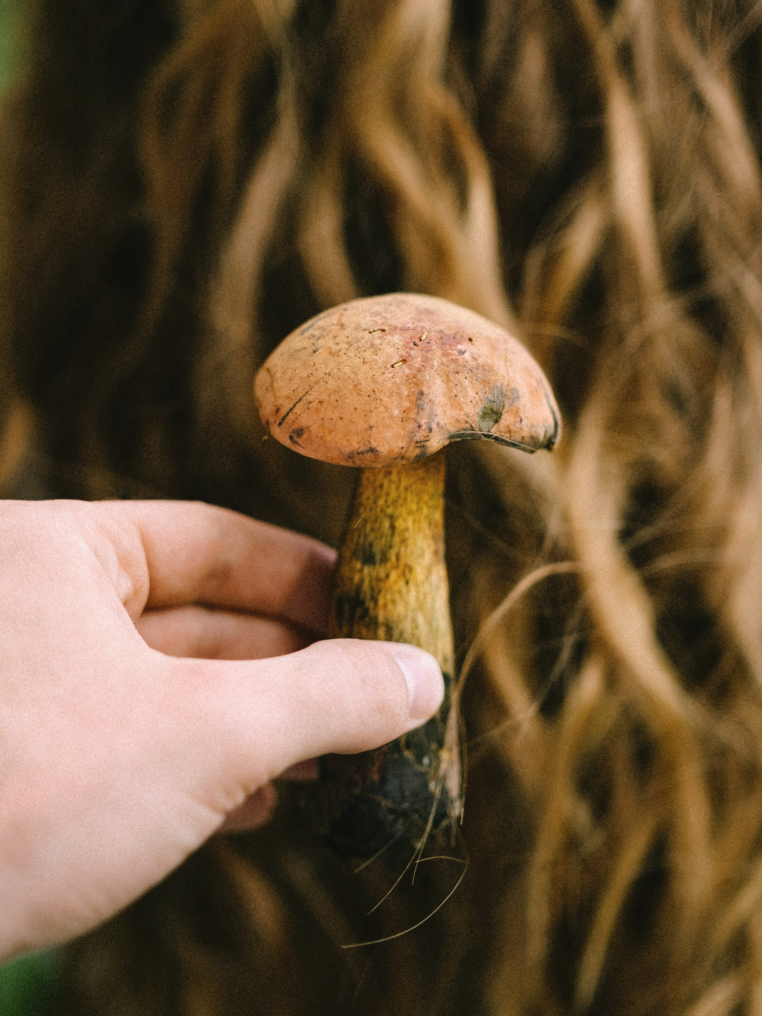 Сева и Маша. Свадебный фотограф в Москве Денис Анурьев