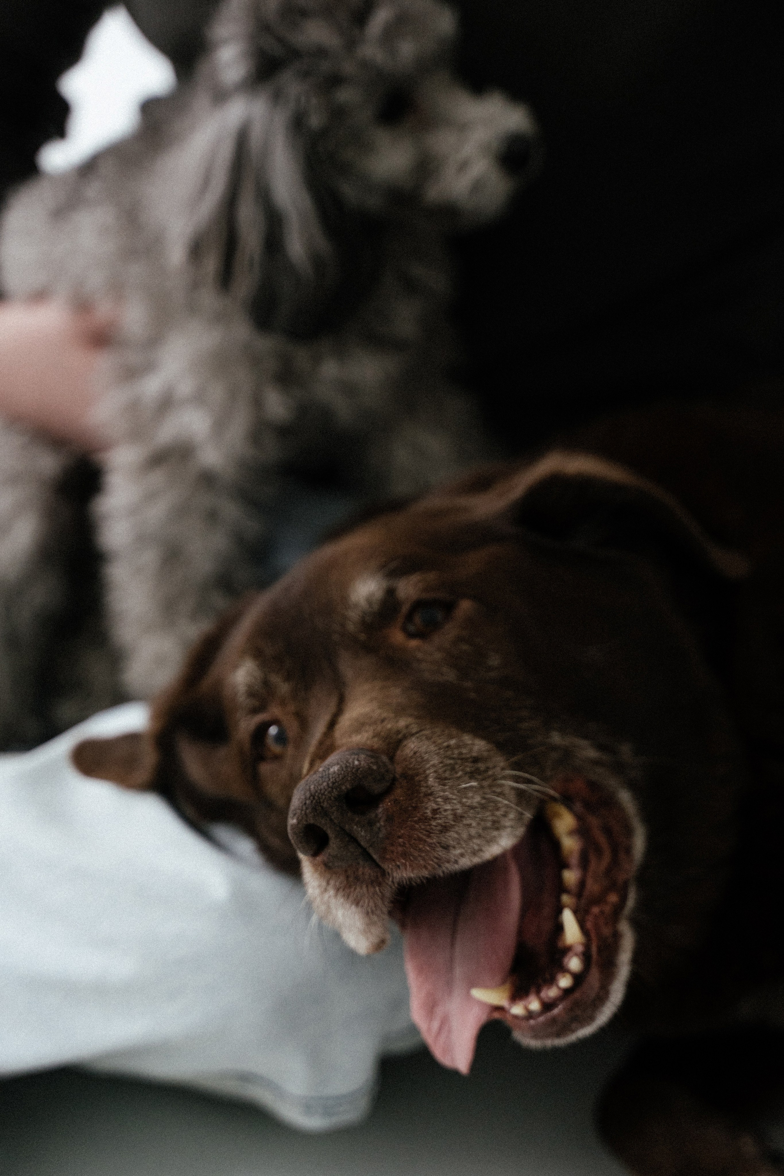 Валерия и Айдар. Фотограф в Москве Наталия Варакина