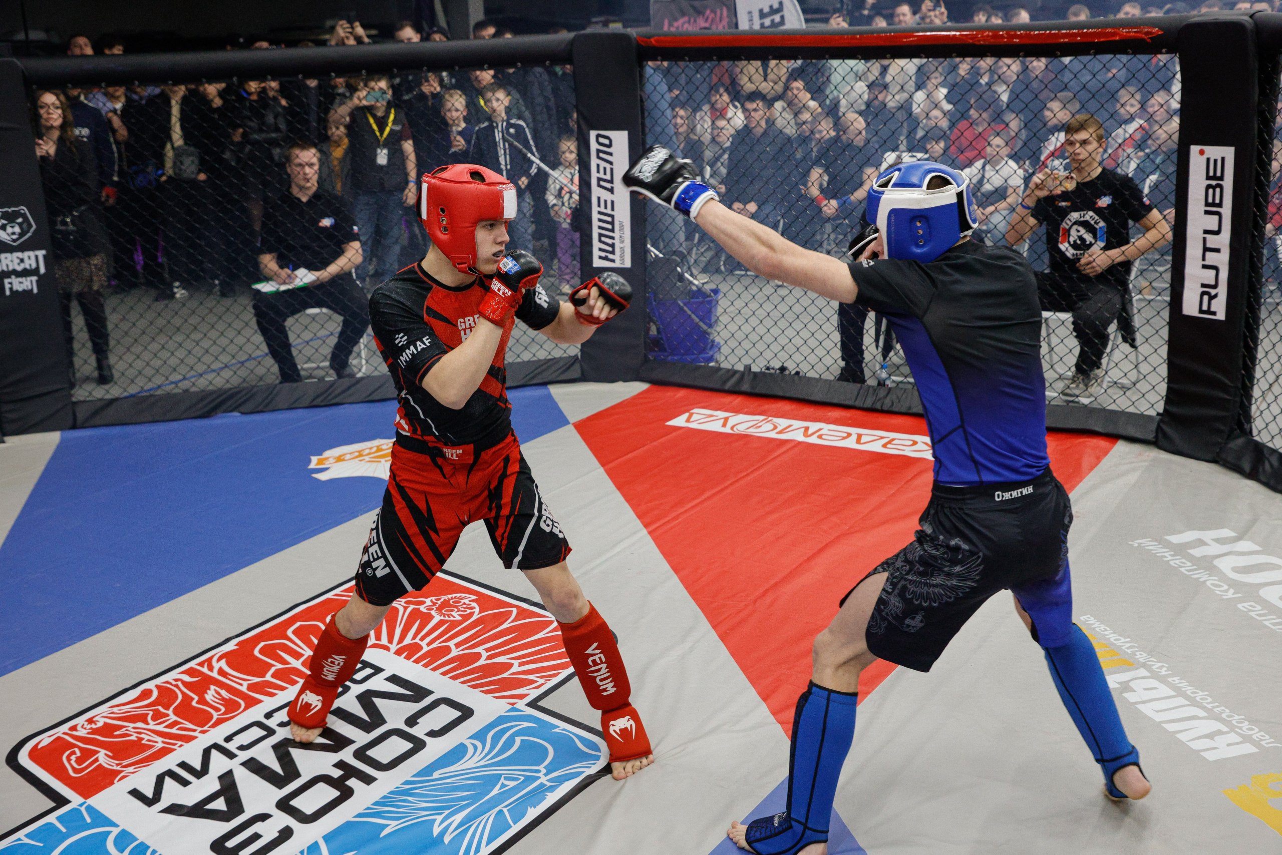 ММА Автолегион 2026. Фотограф в Новосибирске Александр Иванов