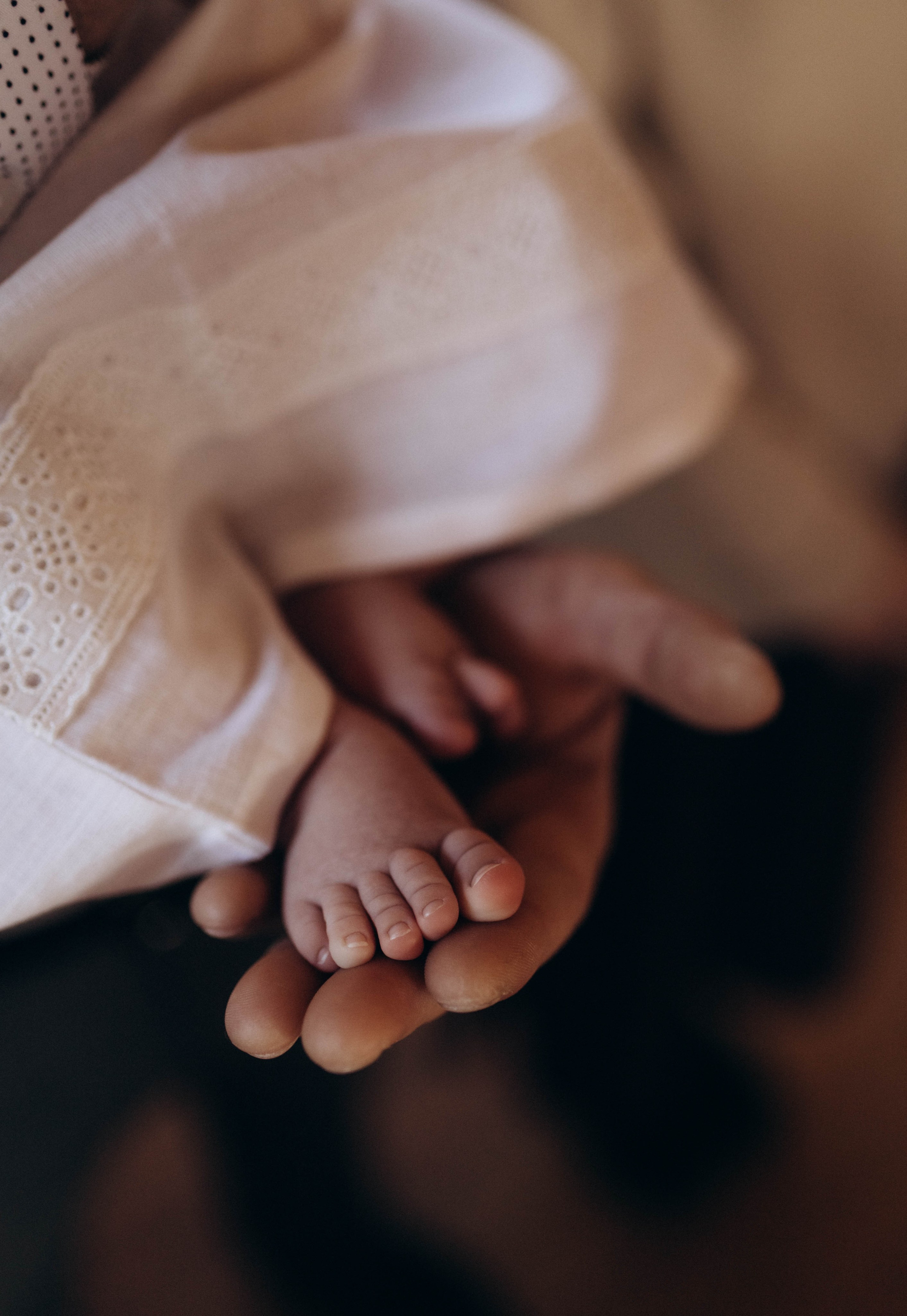 Тимофей. Миронова Анастасия