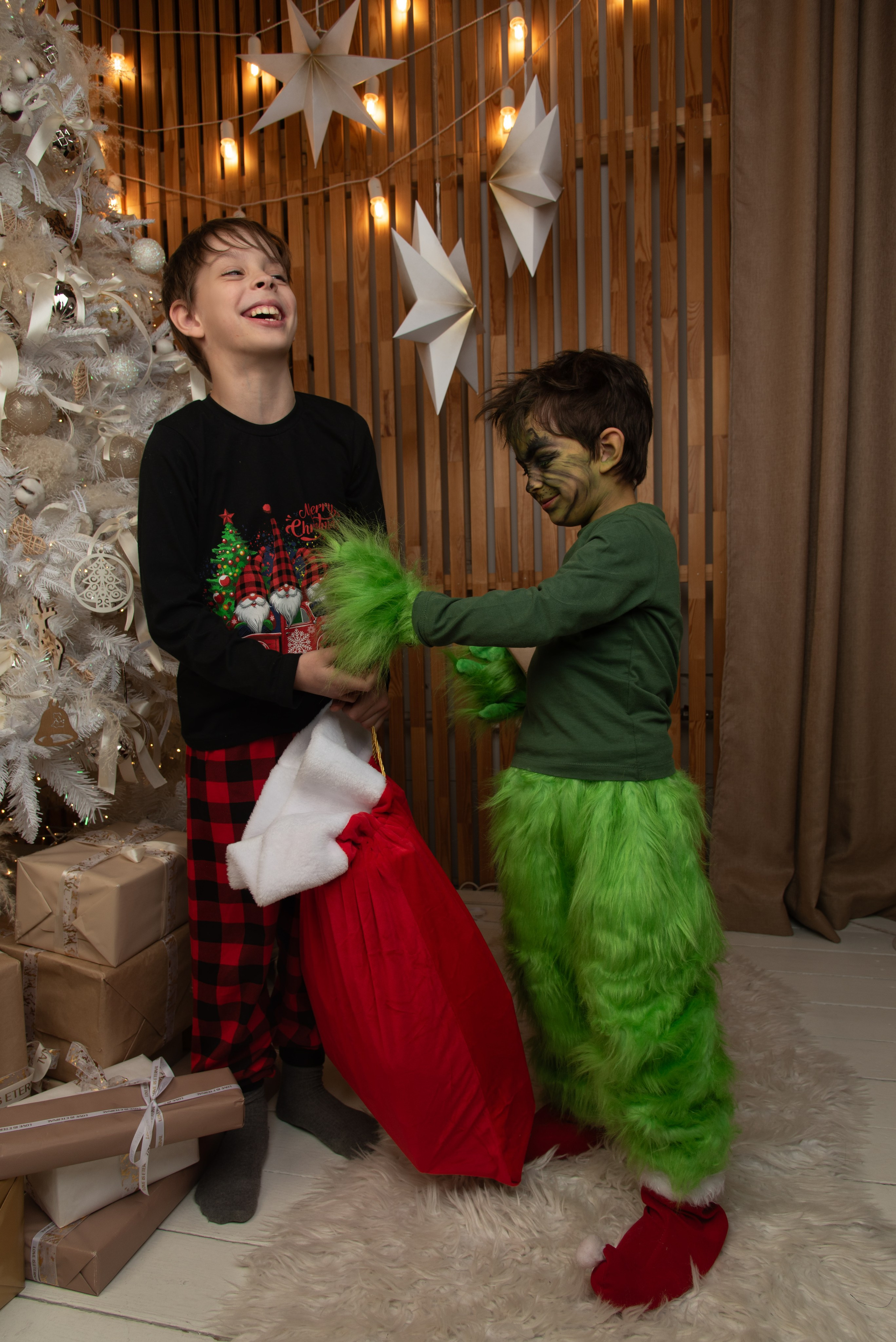 Новый Год. Гринч. Портретный Семейный Fine-Art фотограф в Санкт-Петербурге Криулина