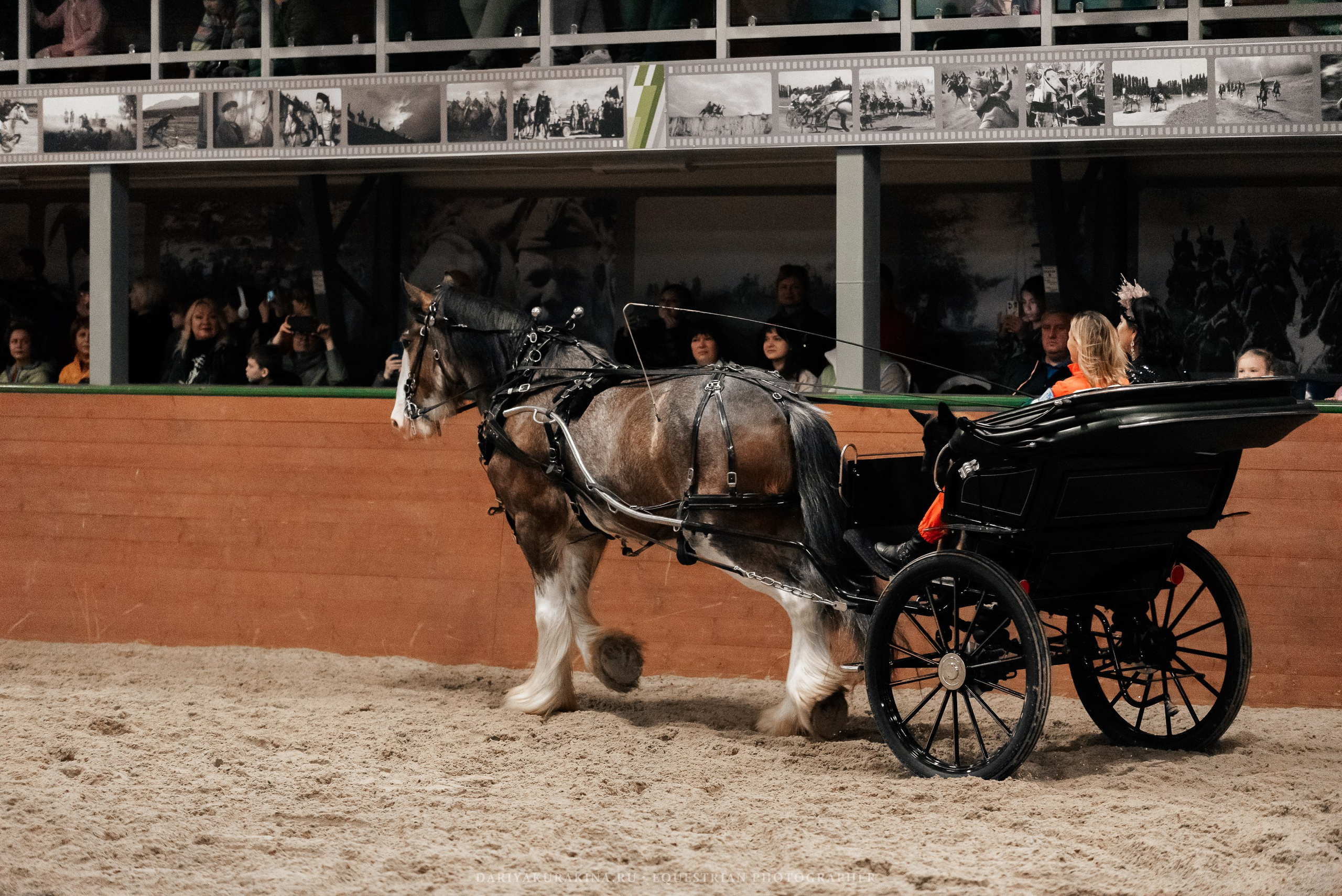 Конное представление «Дыхание Звёзд». Конный фотограф Куракина Дарья • Фотосессии с лошадьми