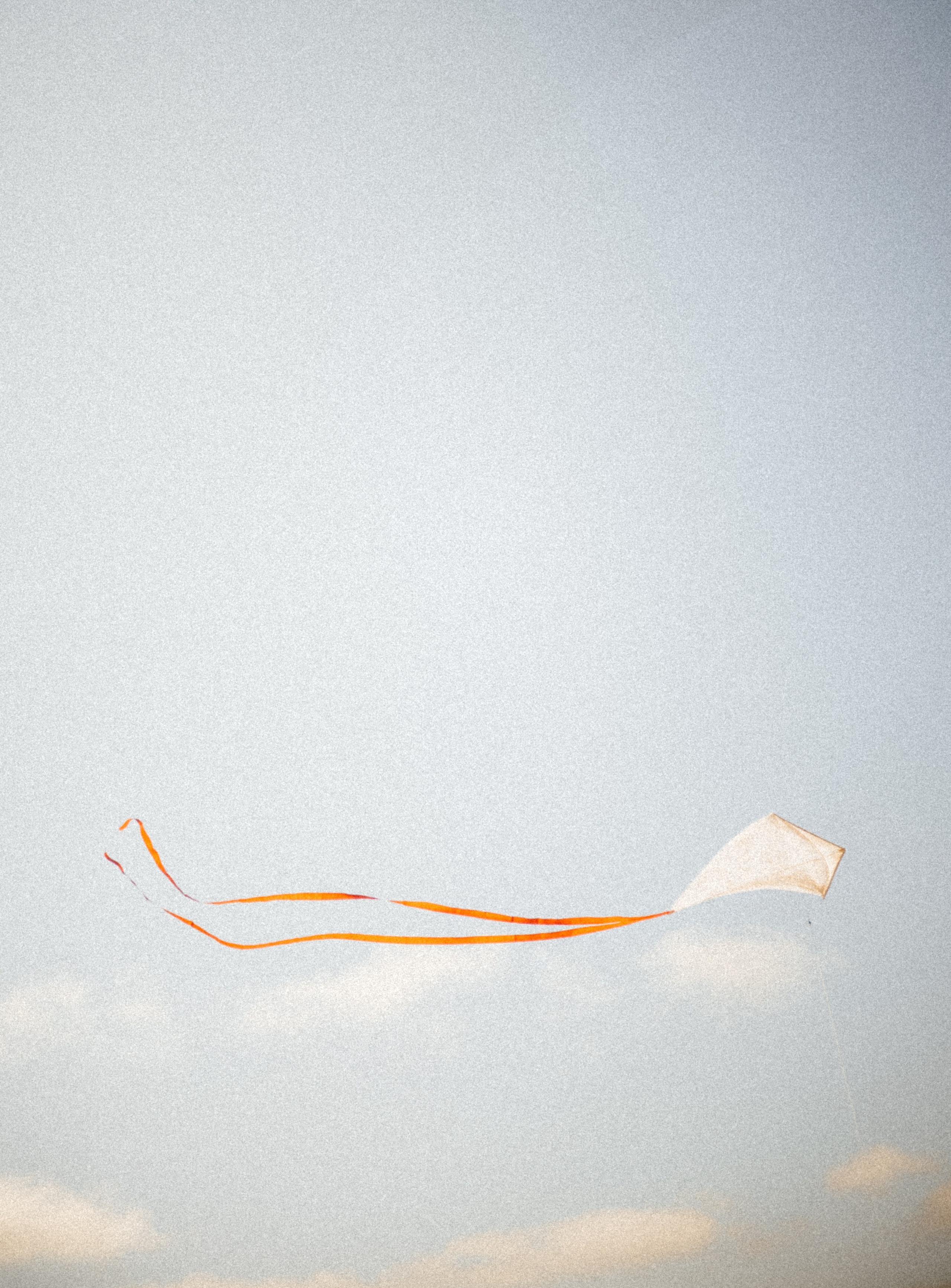 Вера, Ромка и Ева. Фотограф в Архангельске Александра Васина