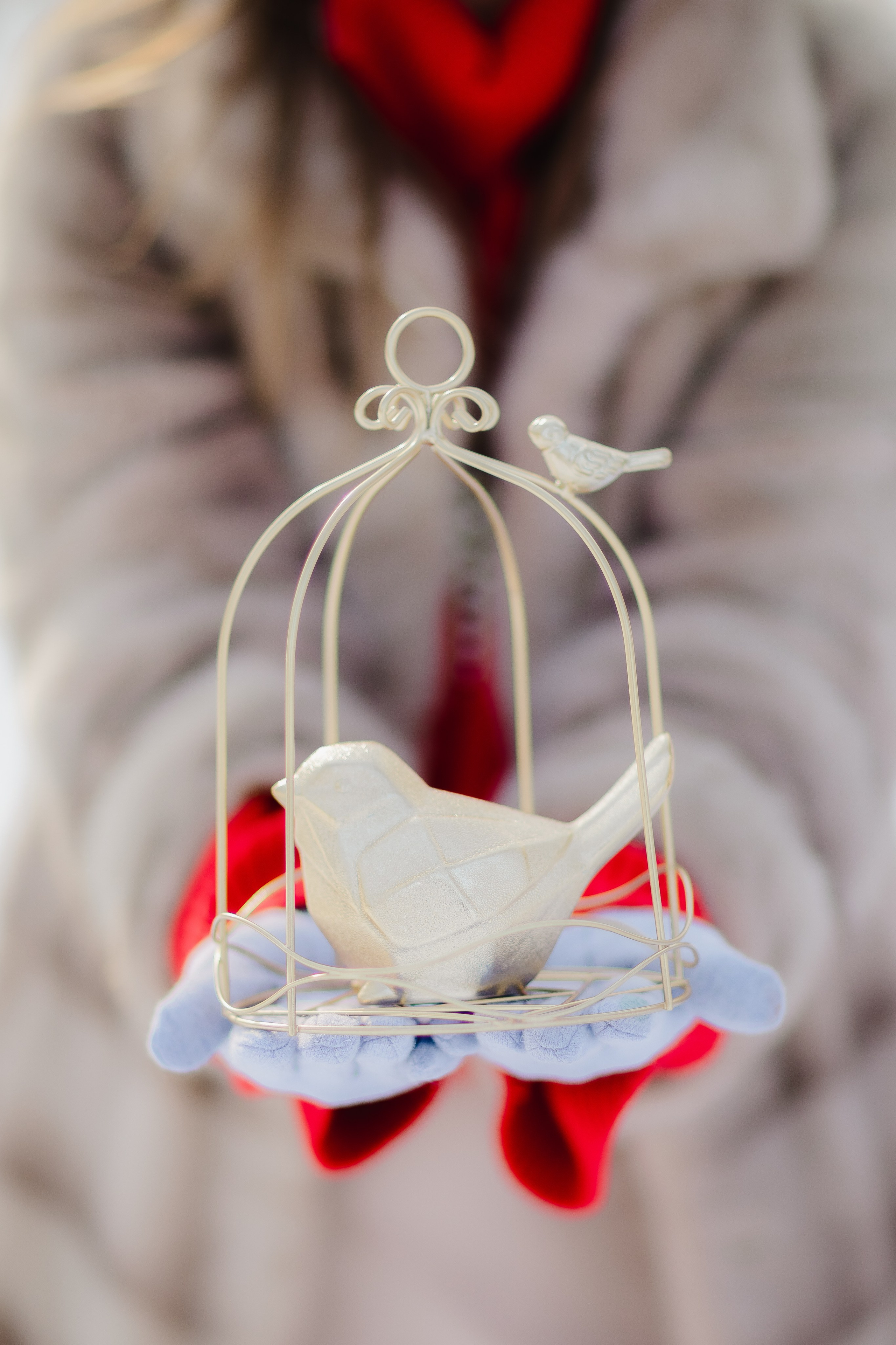 Весенняя симфония