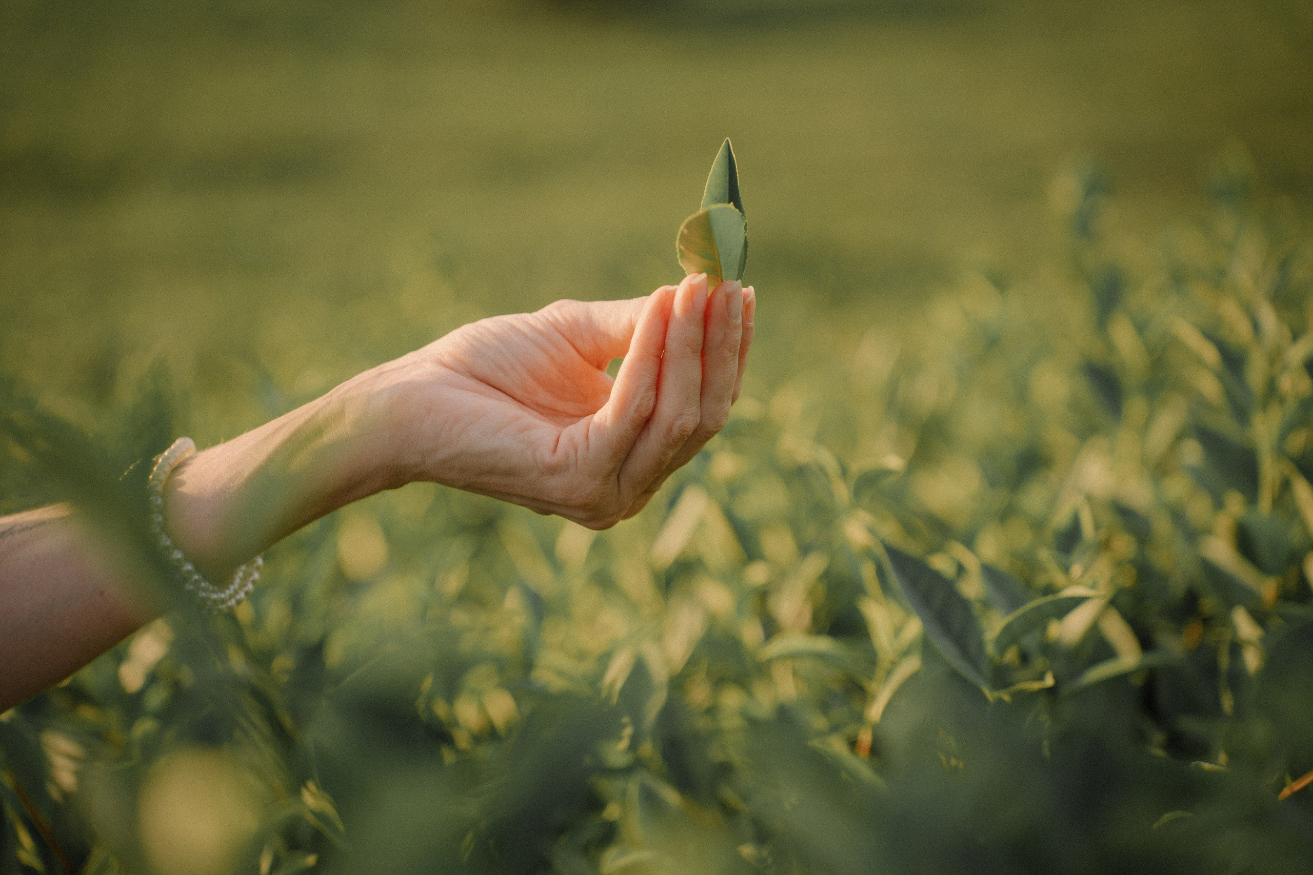 16. Фотограф Батуми | Ксения Кинасова