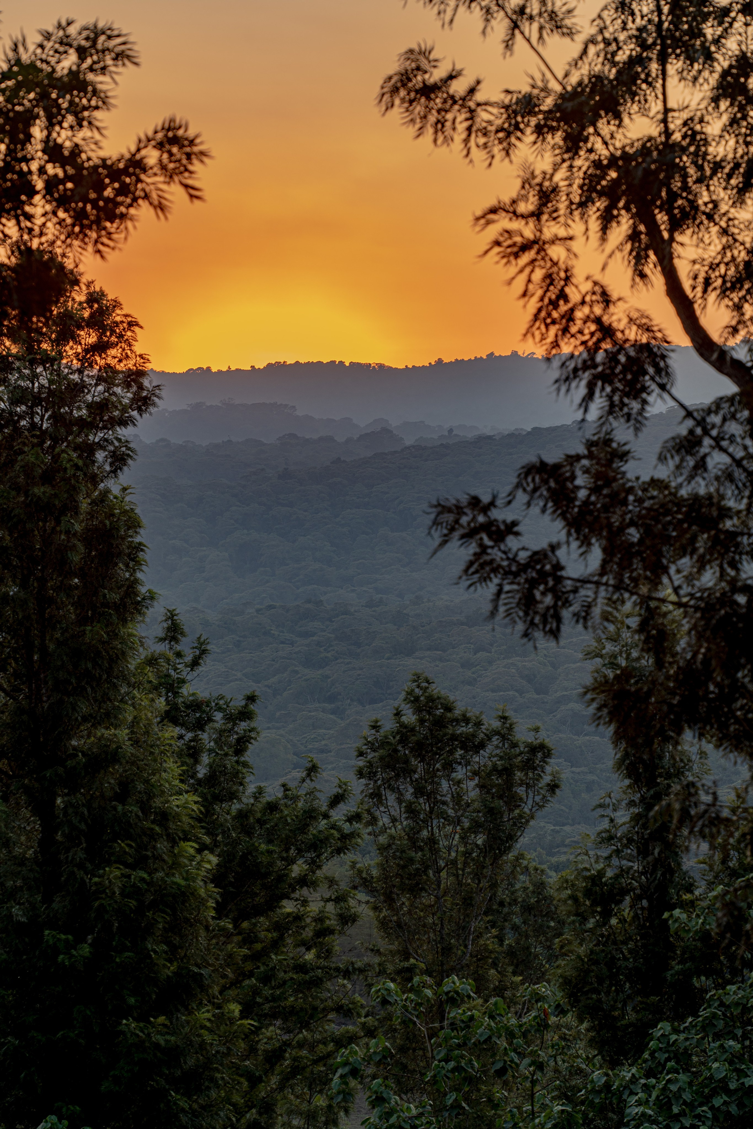 Танзания, сафари, 2025. Творческие сьемки