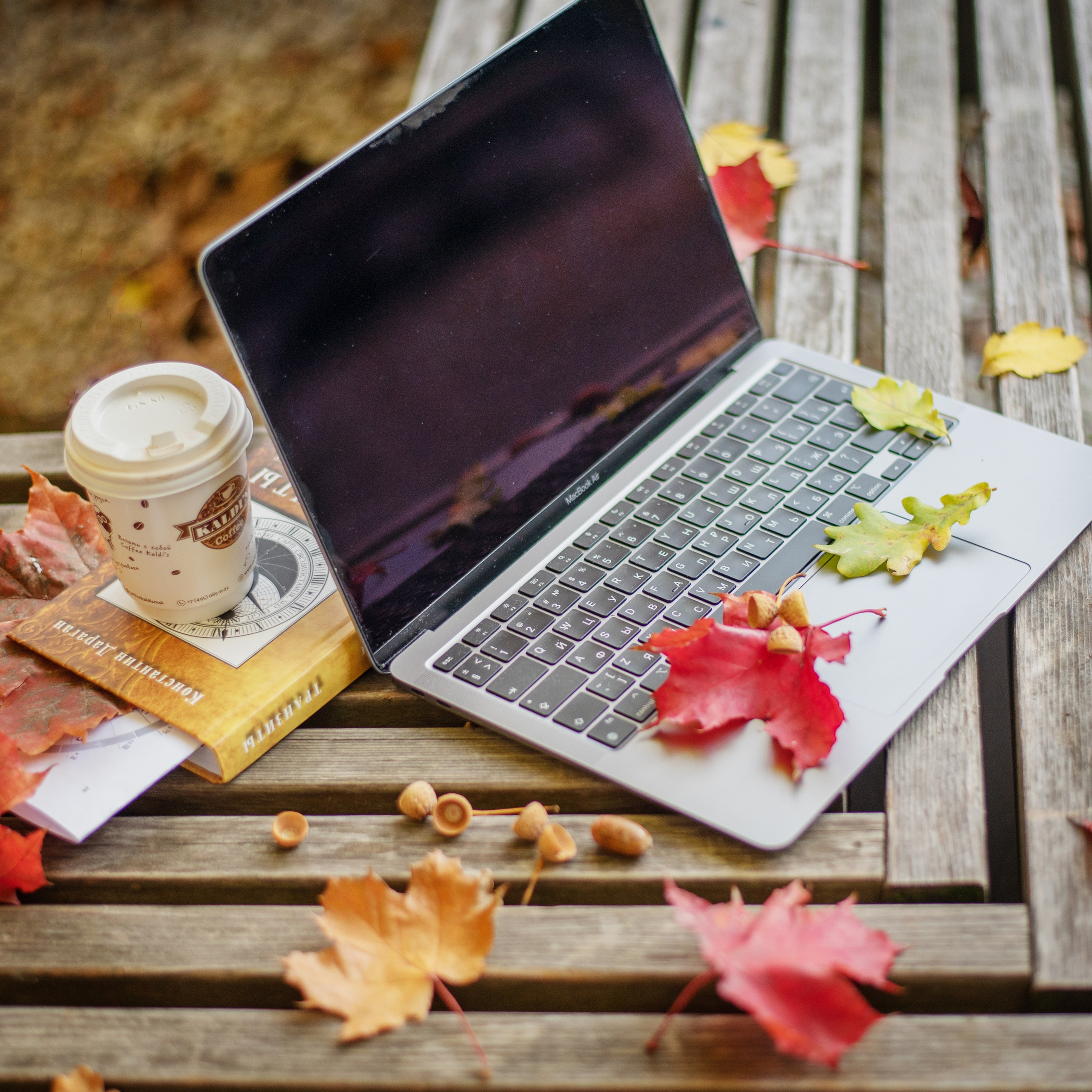 Астролог. Лина Курочка — ваш фотограф