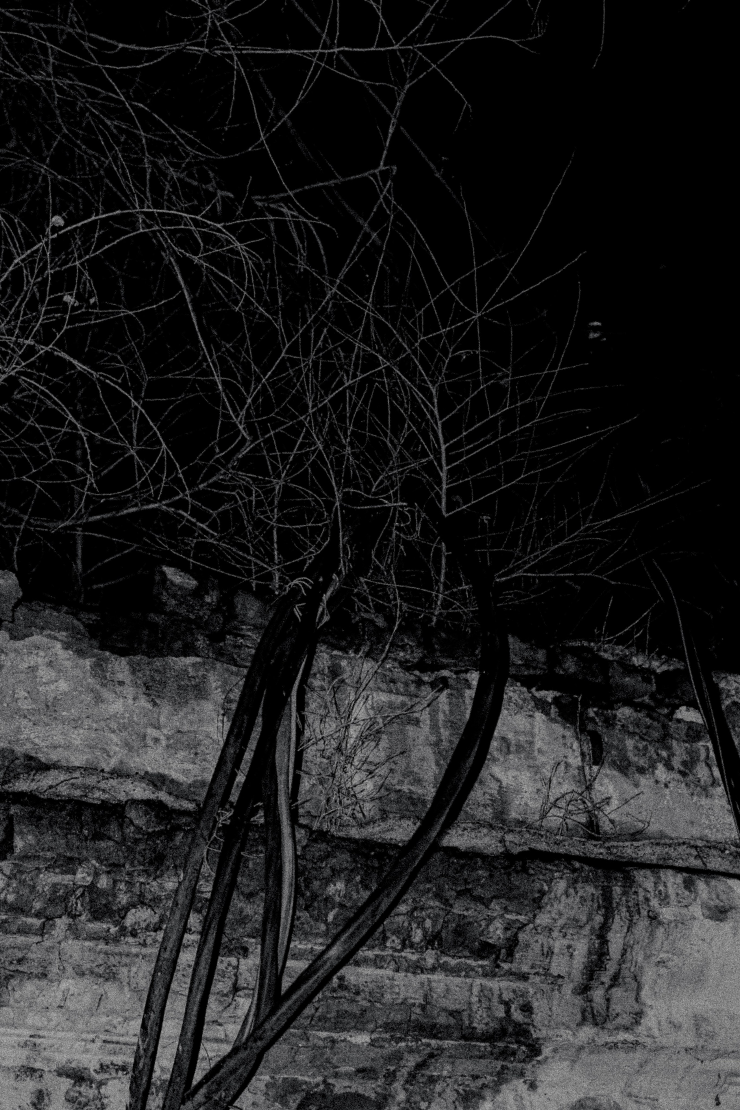 Город Н. Предание о руинах: АРХИВ ПУСТОТЫ