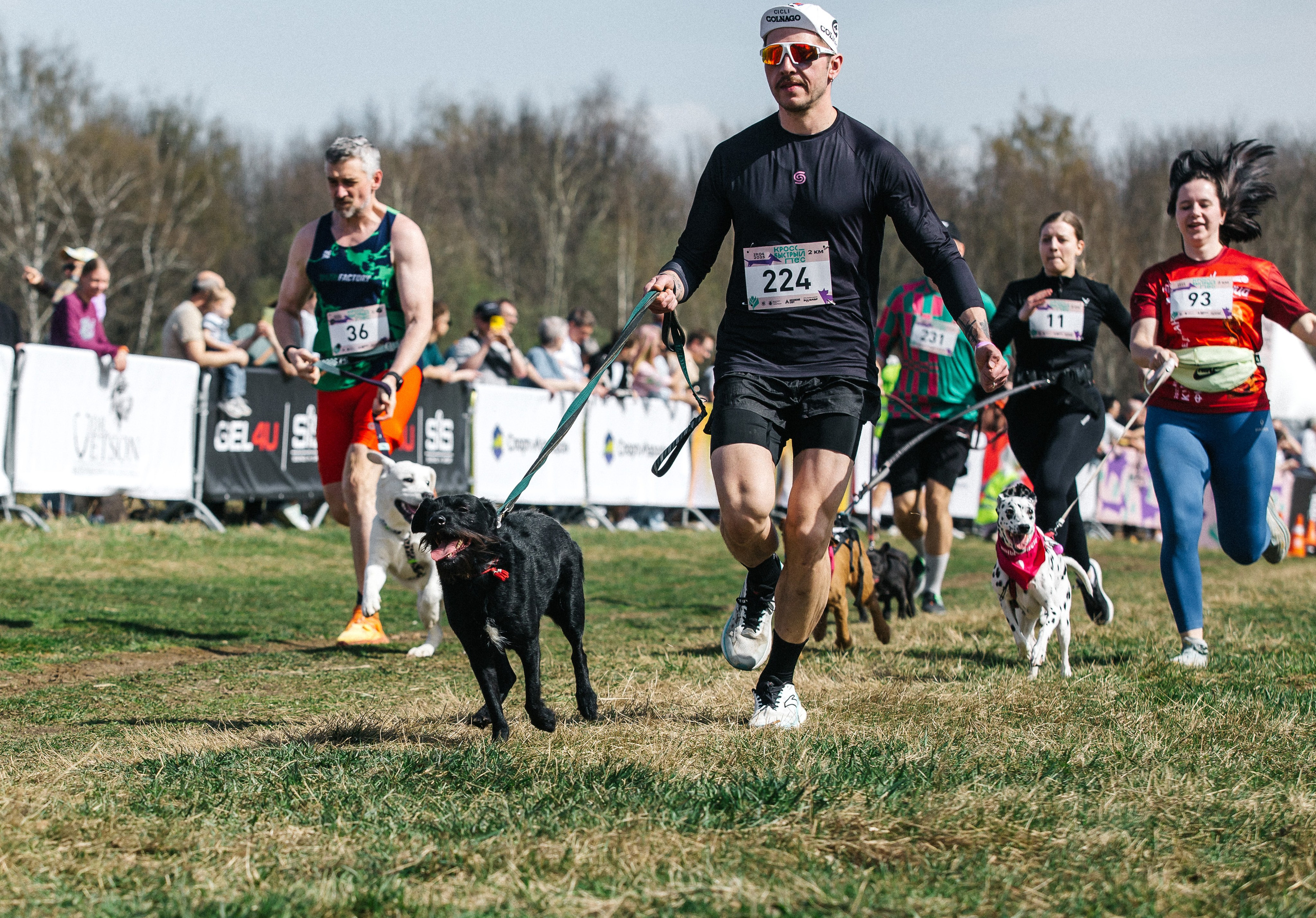 Кросс «Быстрый пёс» 2025. Репортажный фотограф в Москве