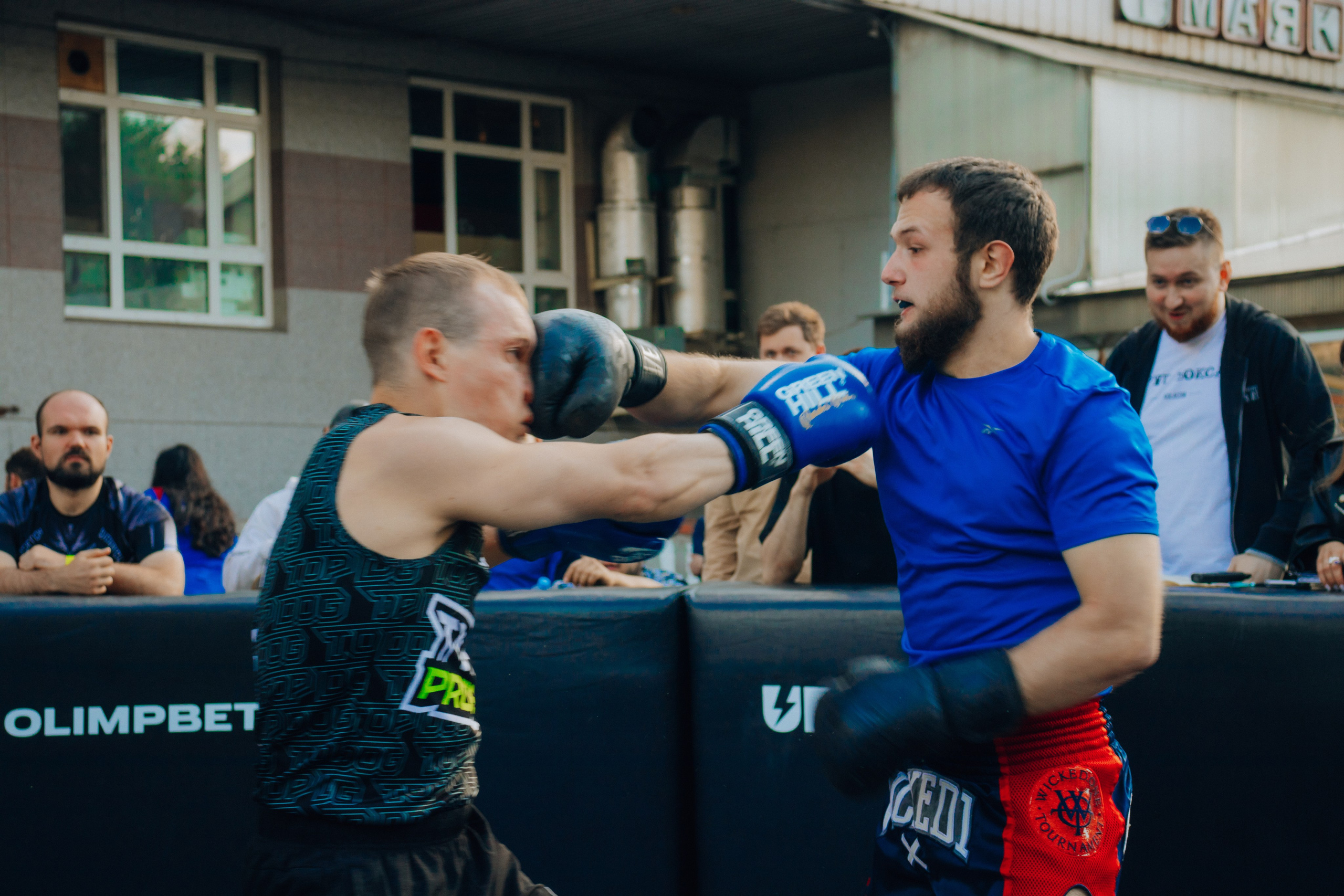 Открытый ринг. Анастасия Тен