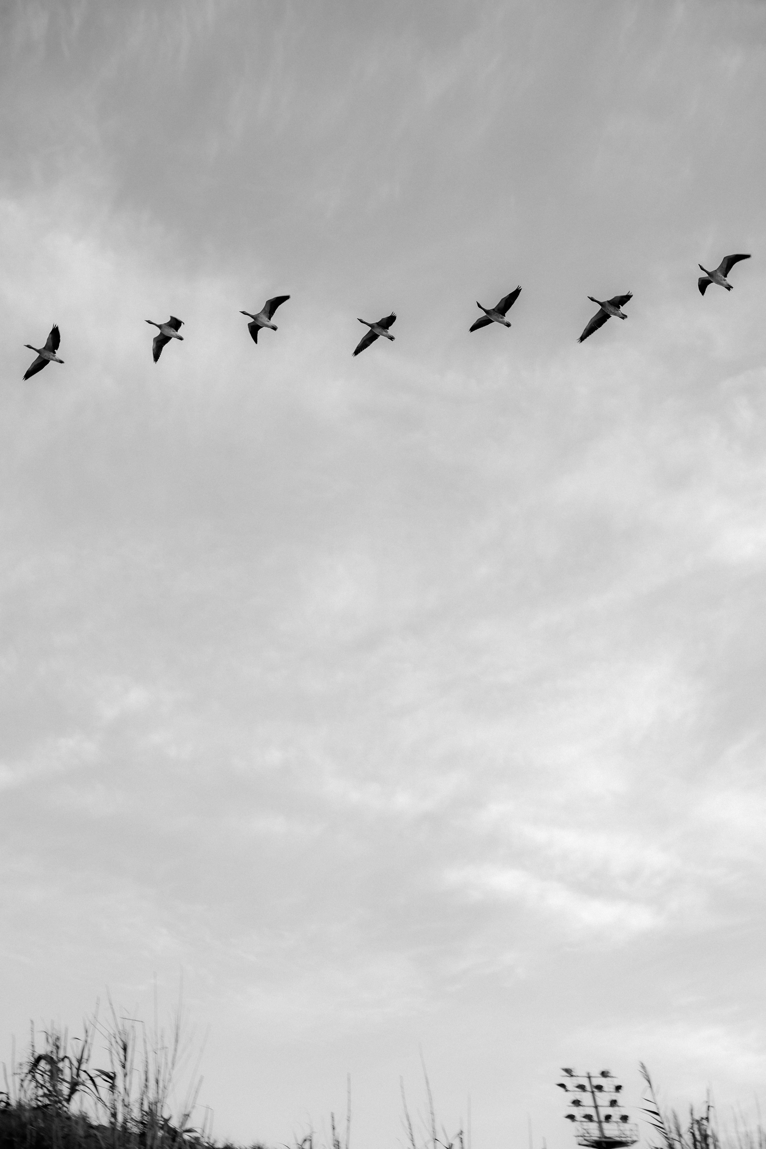 Sunrise // Lisa. Photographer Anastasia Kirnosenko