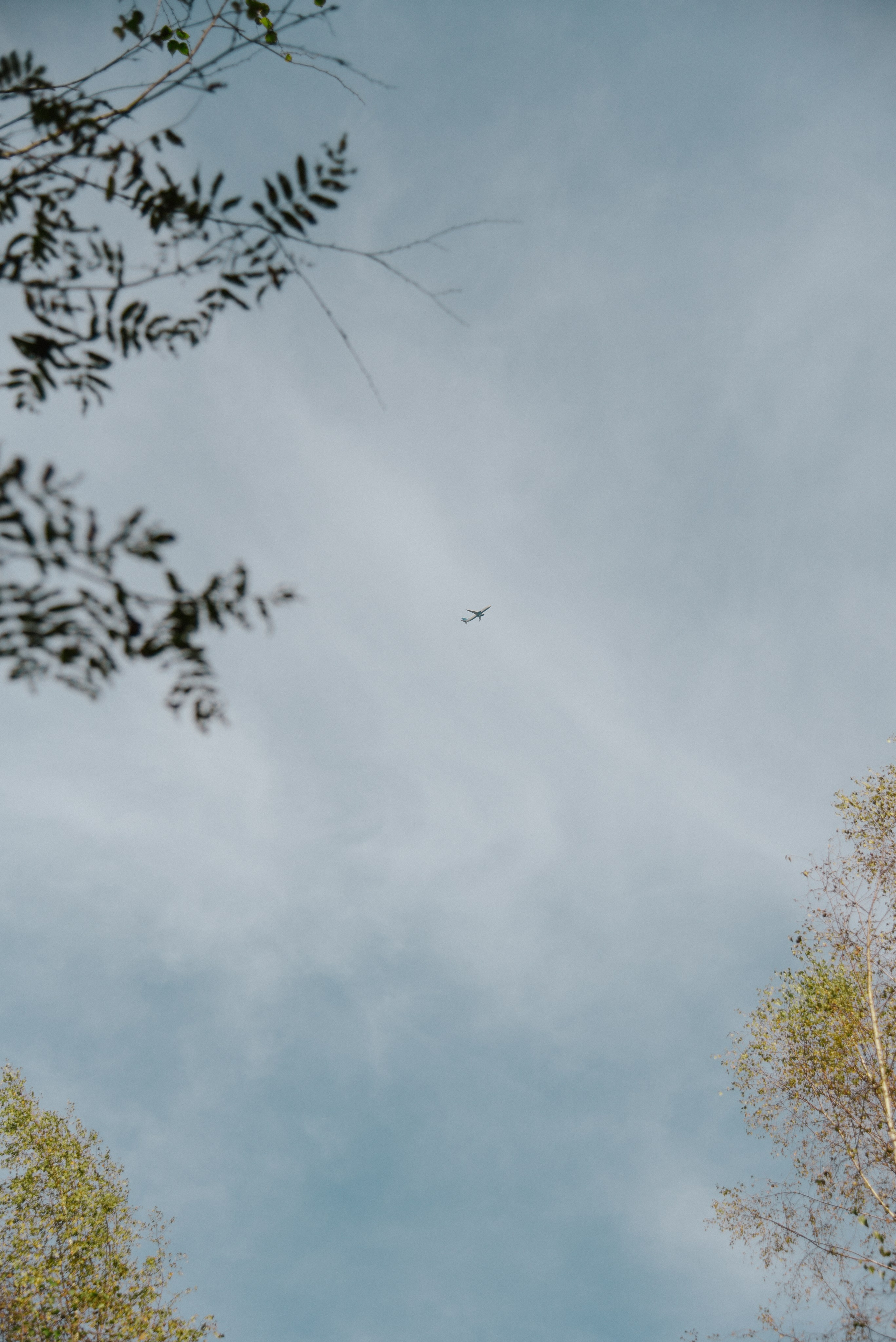 Влюбленные глаза. Фотограф Лола Волна, город Москва
