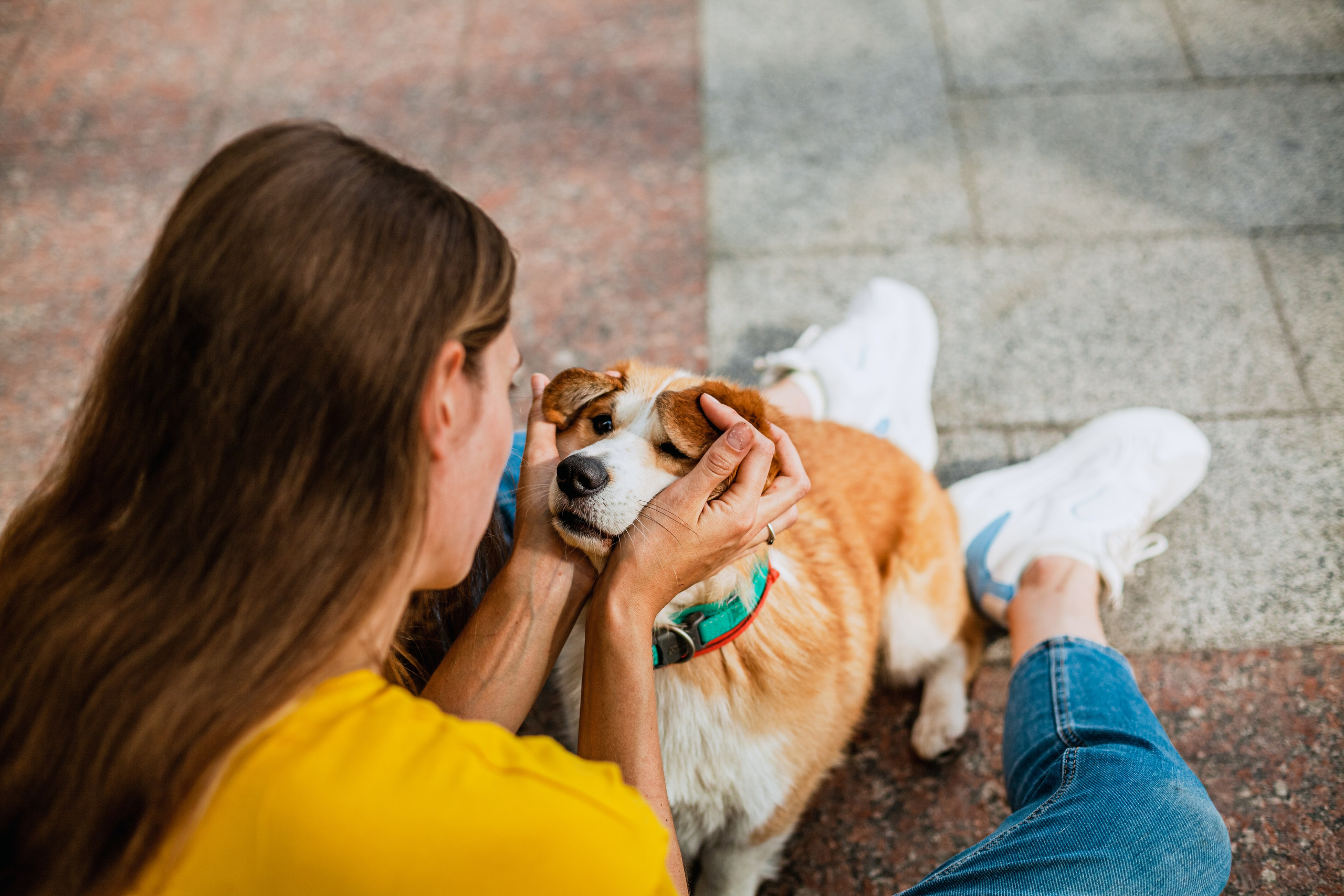 Андреевский мост. Фотограф-анималист Татьяна Степанова