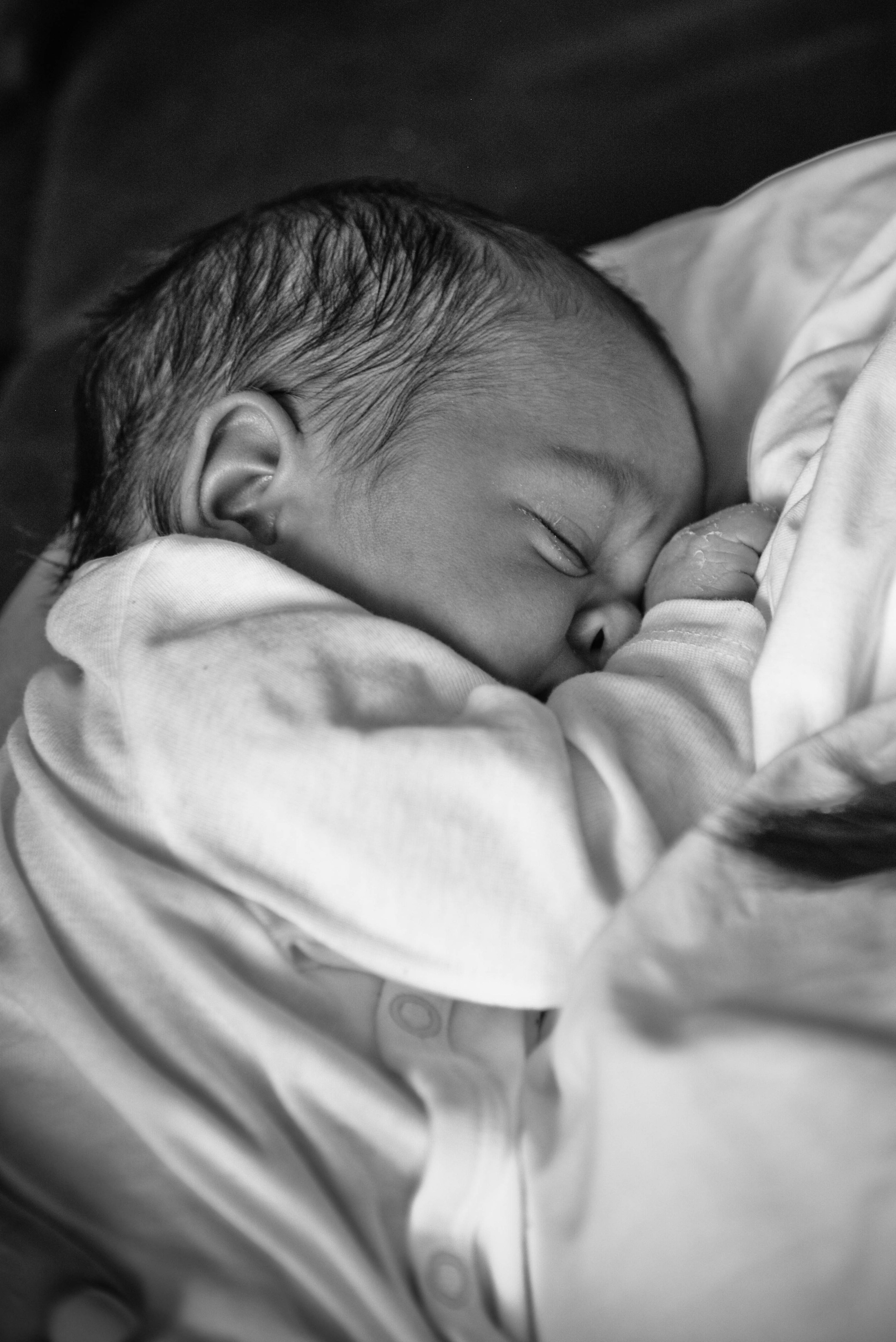 Лев родился. Семейный и детский фотограф в Москве (Тинао) Галкина Алевтина