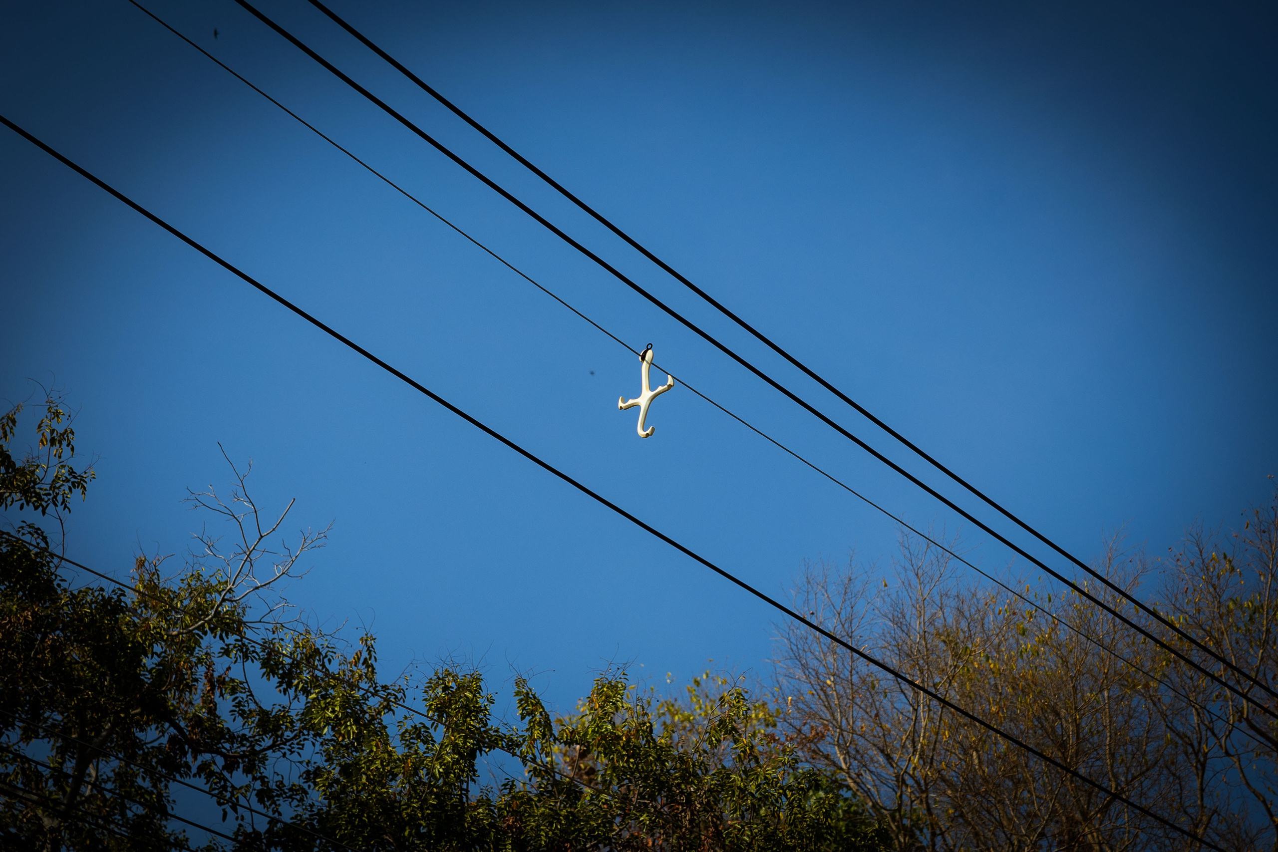 Таиланд (зима 2025). Фотограф Виноградов Константин