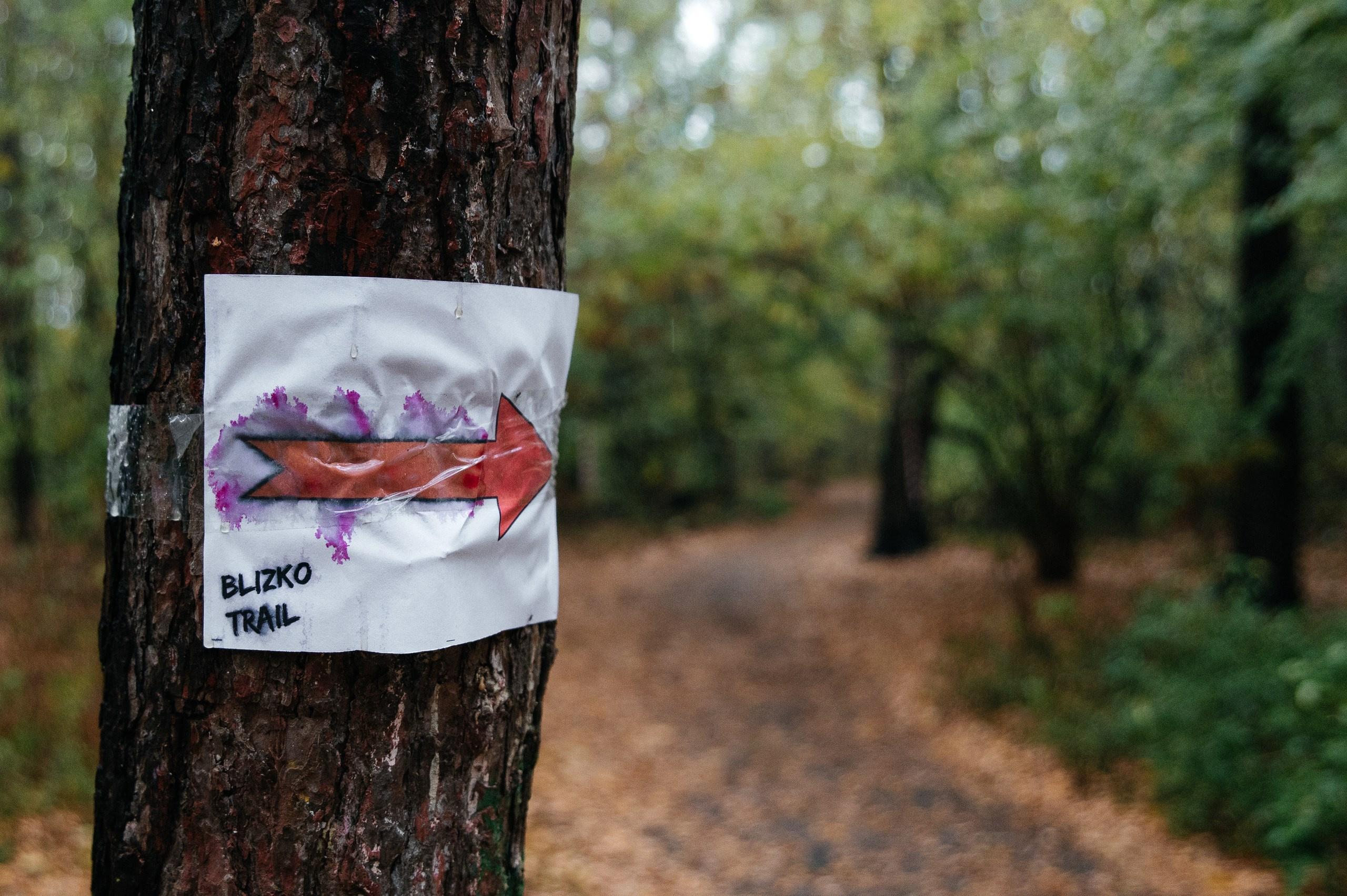 Фотосъемка спортивных мероприятий. Фотограф Москва