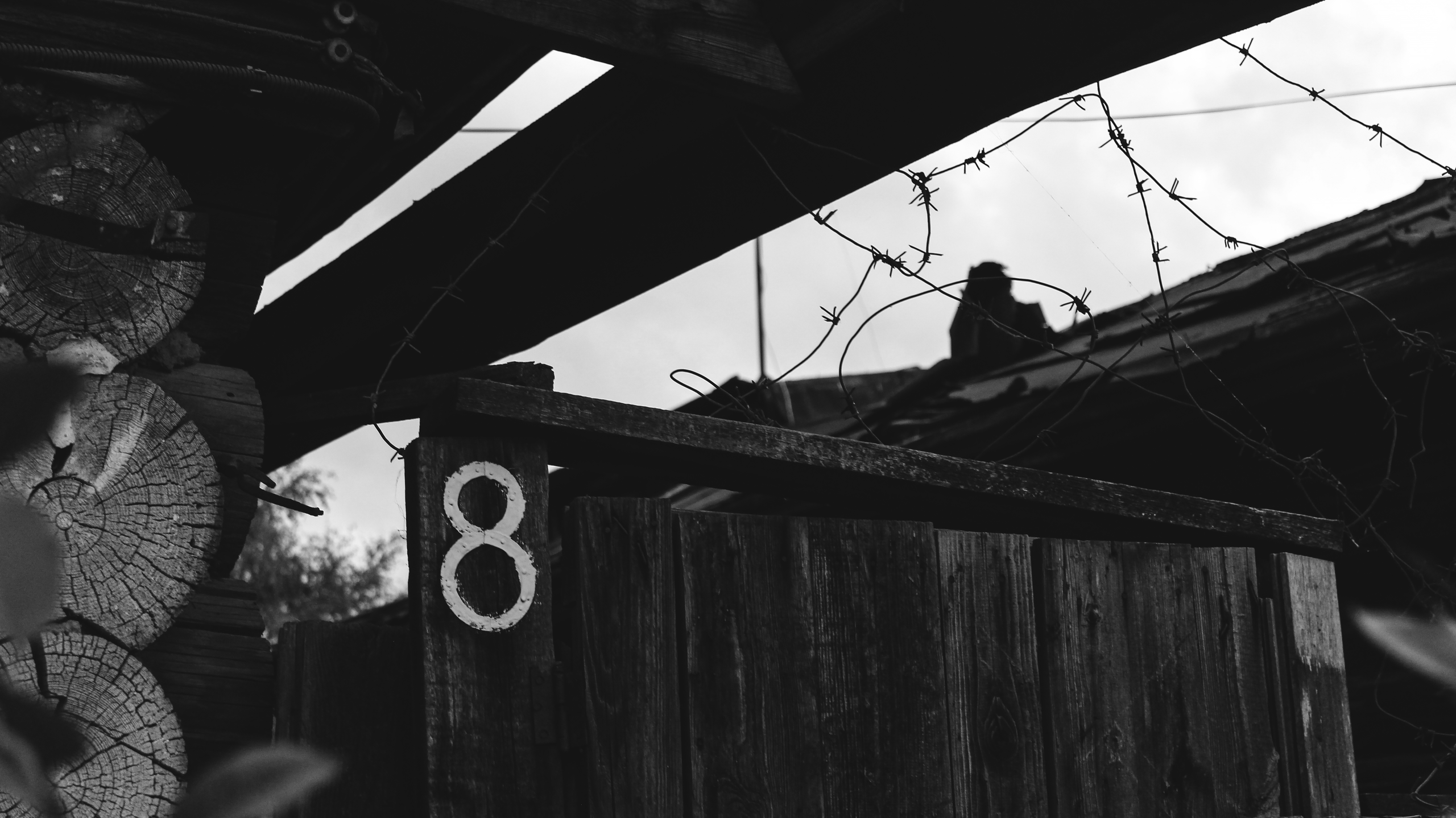 TMN summer '24. Фотограф/дизайнер в Екатеринбурге Хитрый Дмитрий