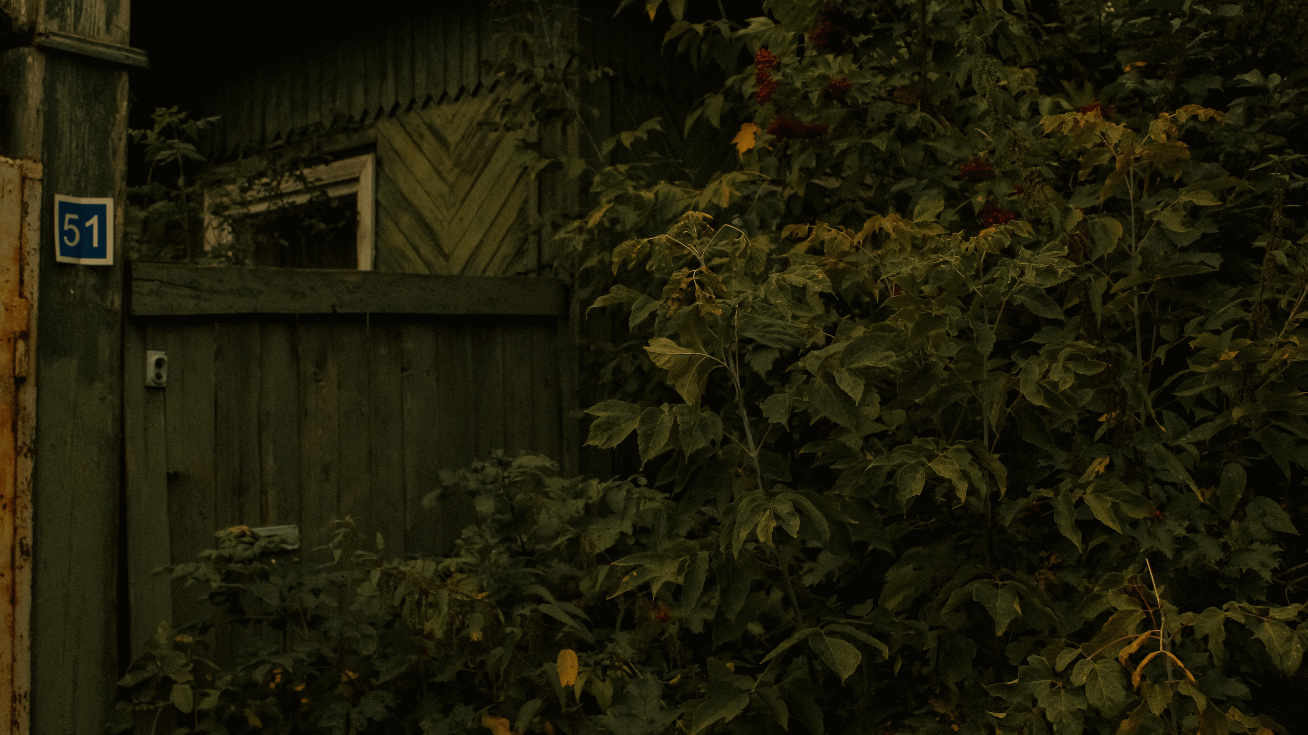 TMN summer '24. Фотограф/дизайнер в Екатеринбурге Хитрый Дмитрий