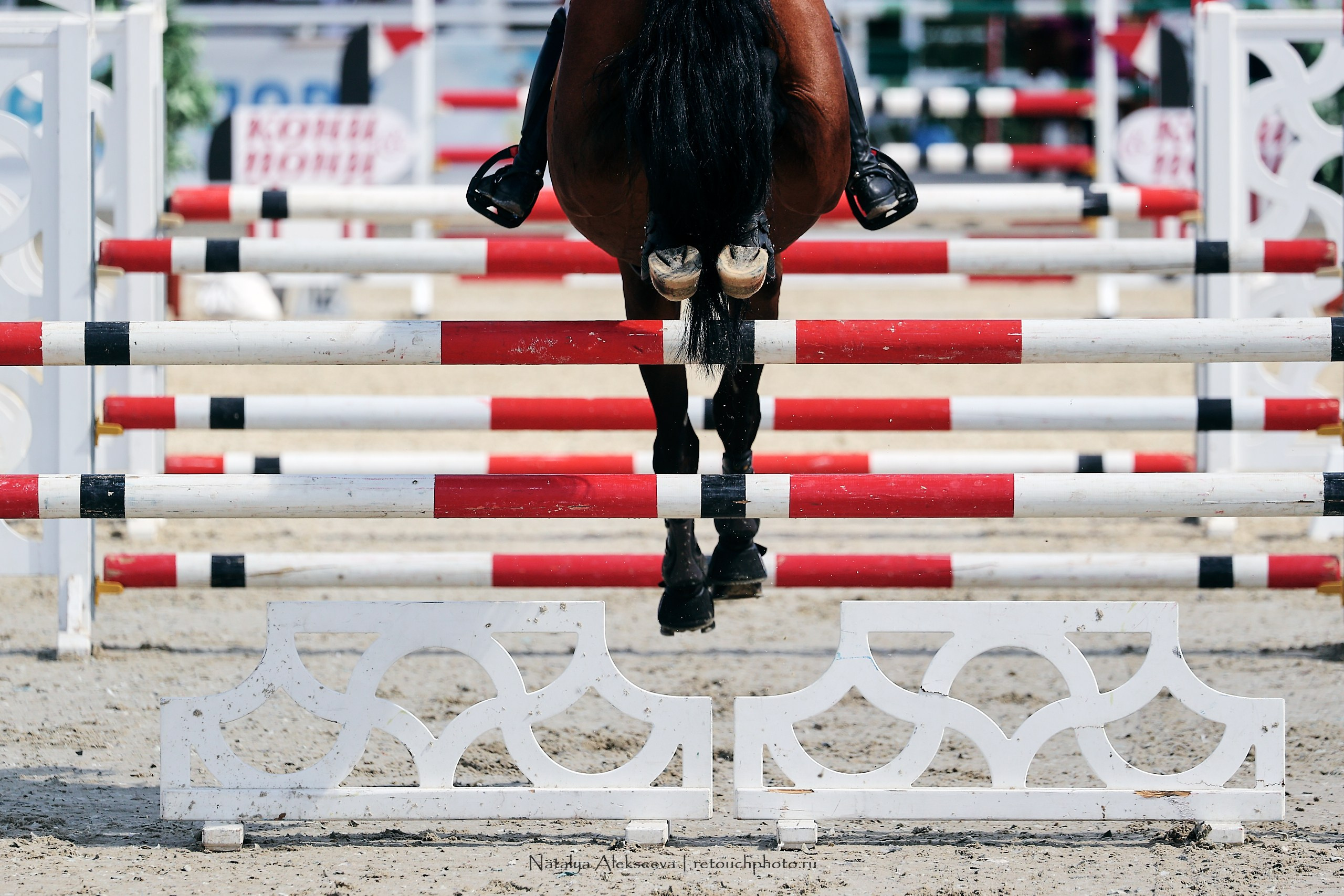 Евразийские игры по конкуру, Maxima Stables | 07'2023. Репортажный фотограф и ретушер в Москве Наталья Алексеева