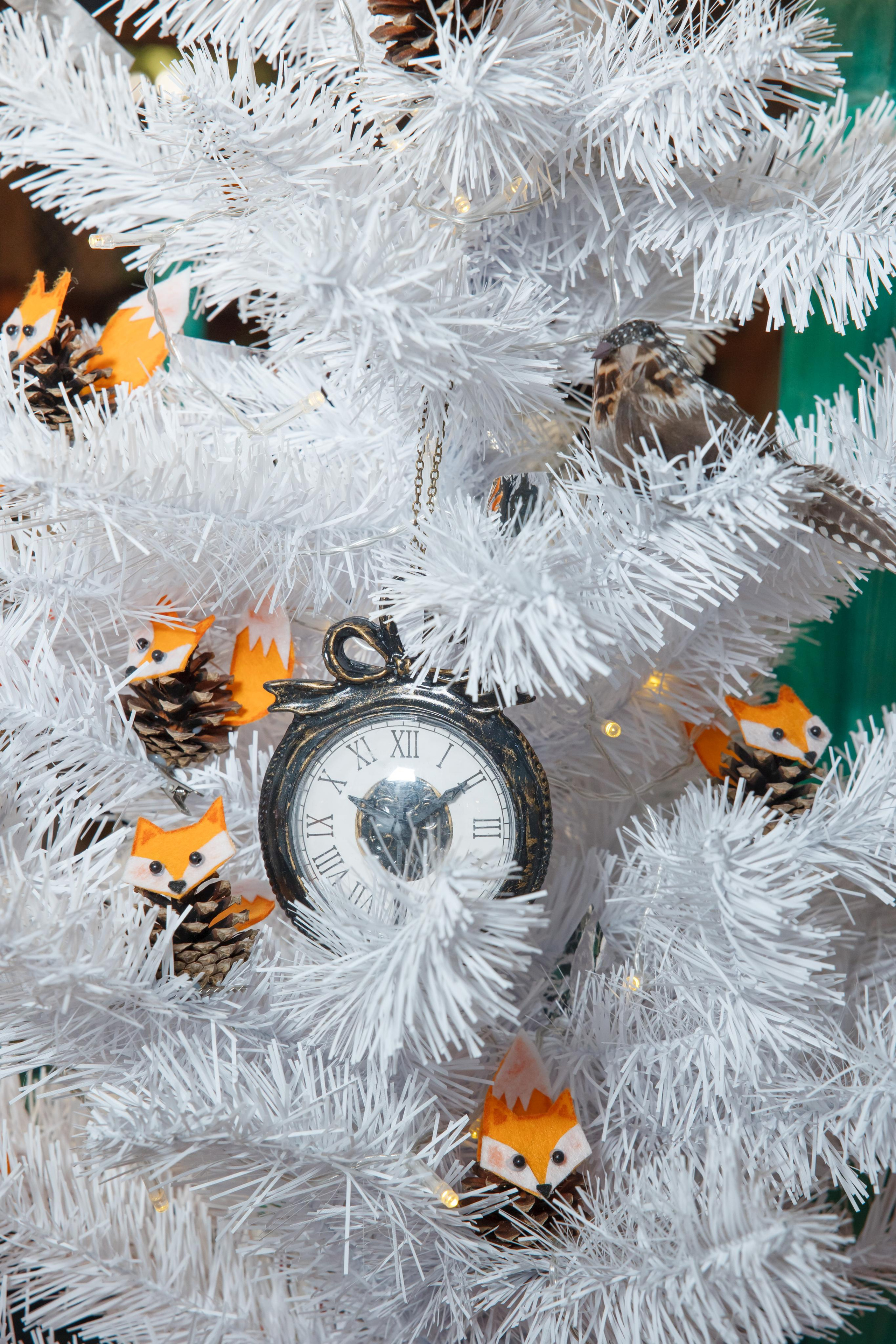 Открытие Лисапарка. Свадебный и репортажный фотограф (Москва, Королев и другие)