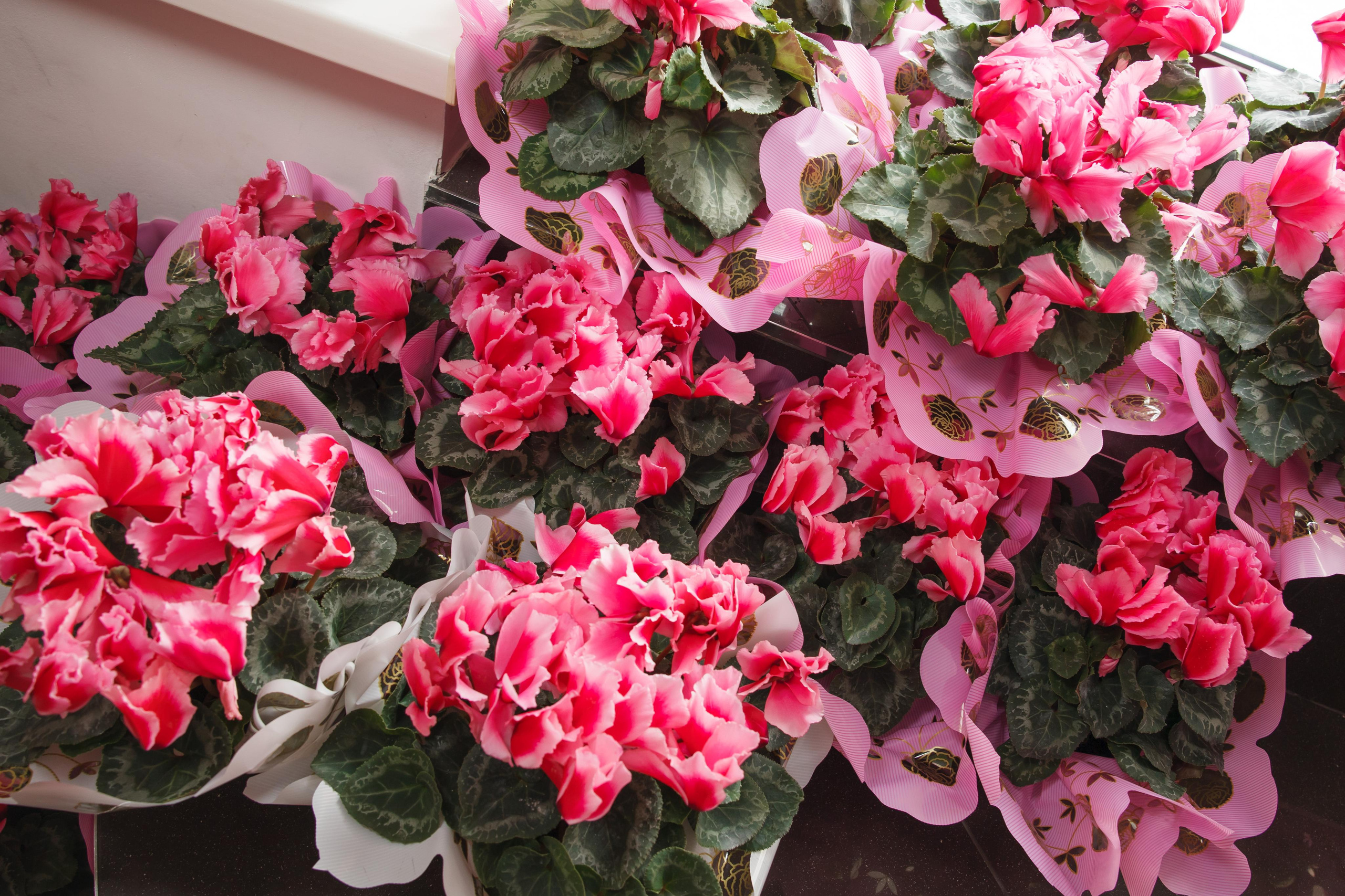 Портретная фотосъемка сотрудников компании. Свадебный и репортажный фотограф (Москва, Королев и другие)