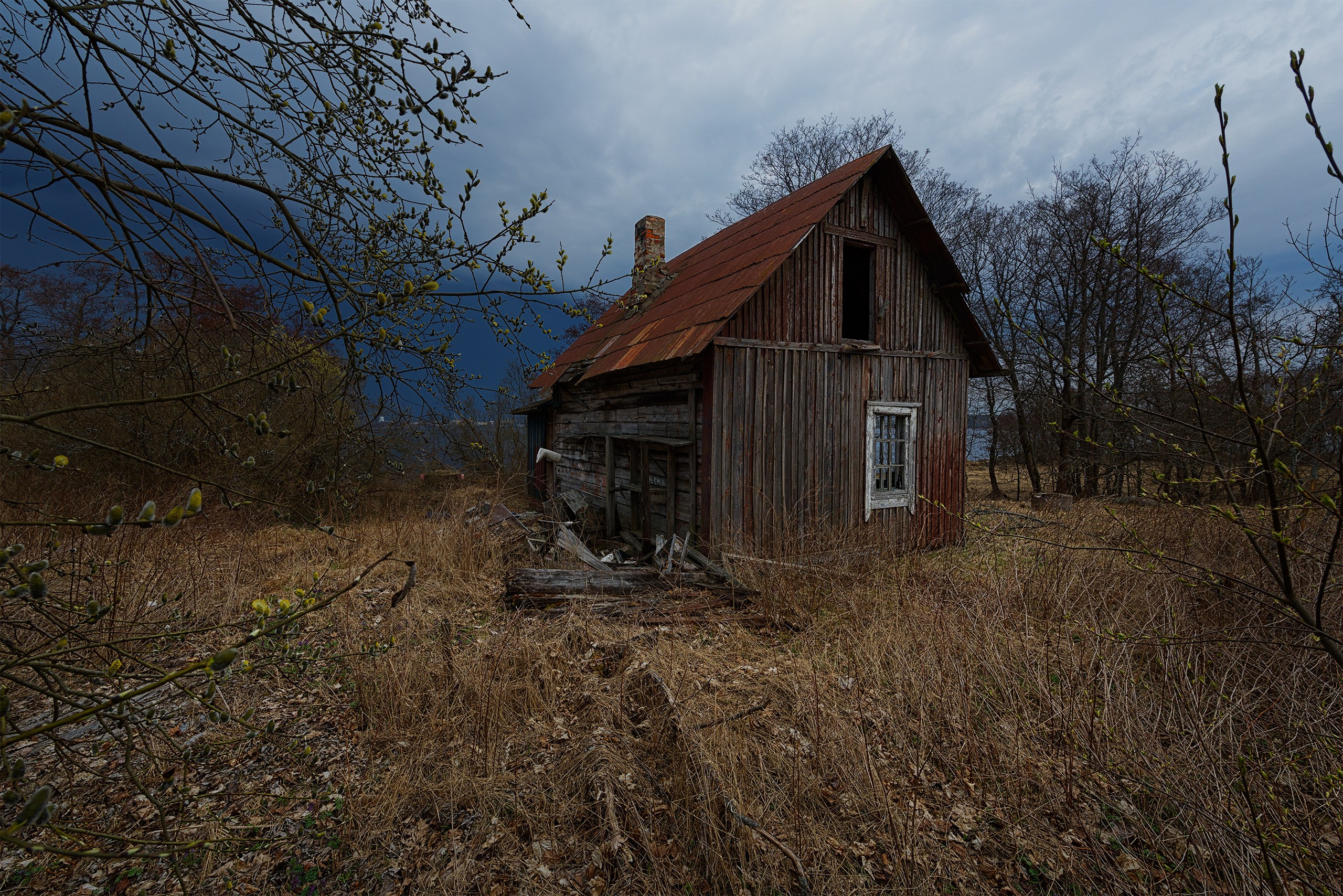 Пейзажи. Сайт фотографа Елены Михайловой. Фотосессии на пленэре в Сестрорецке