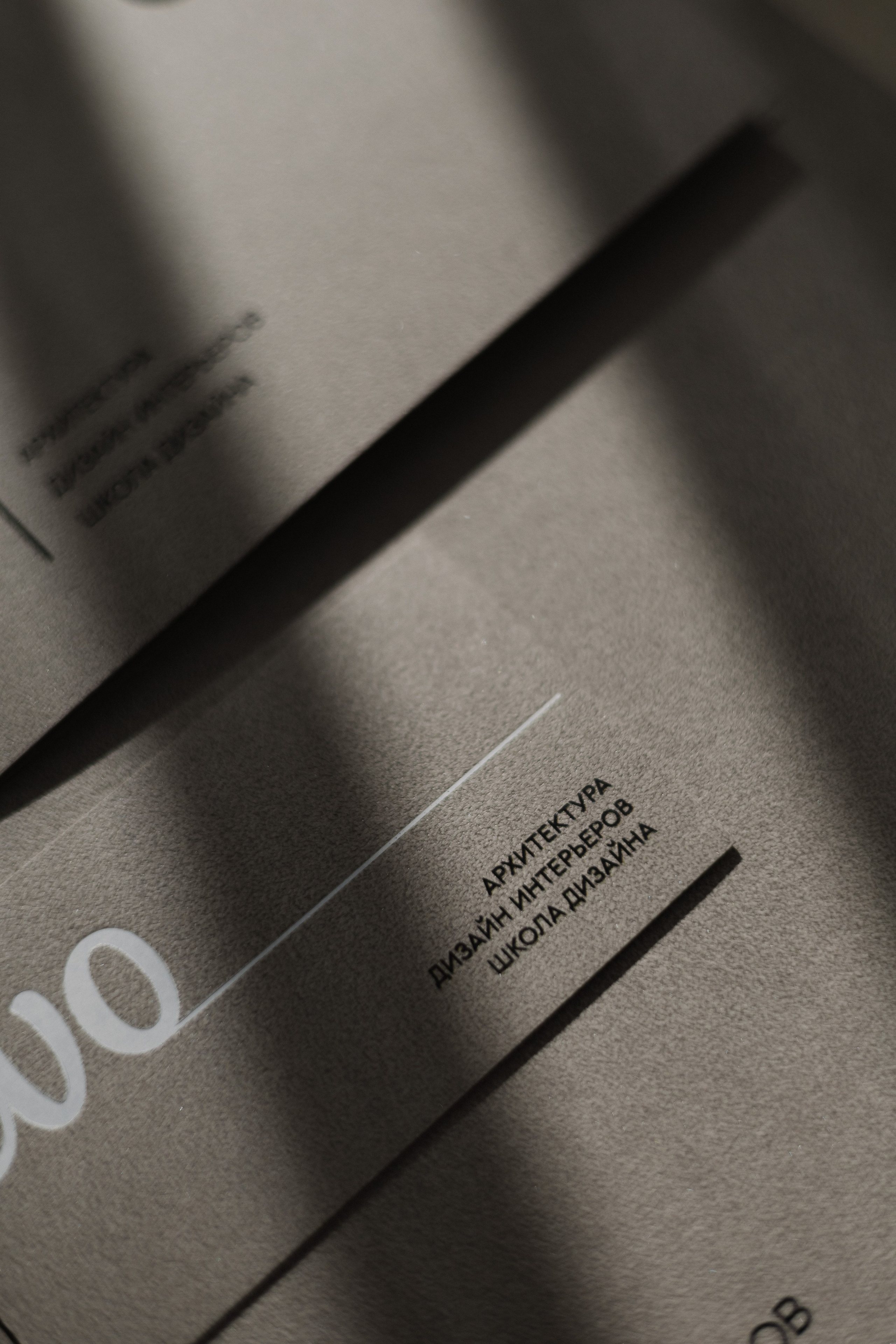 EVO. Бренд-дизайнер Карина Цыганкова, Санкт-Петербург