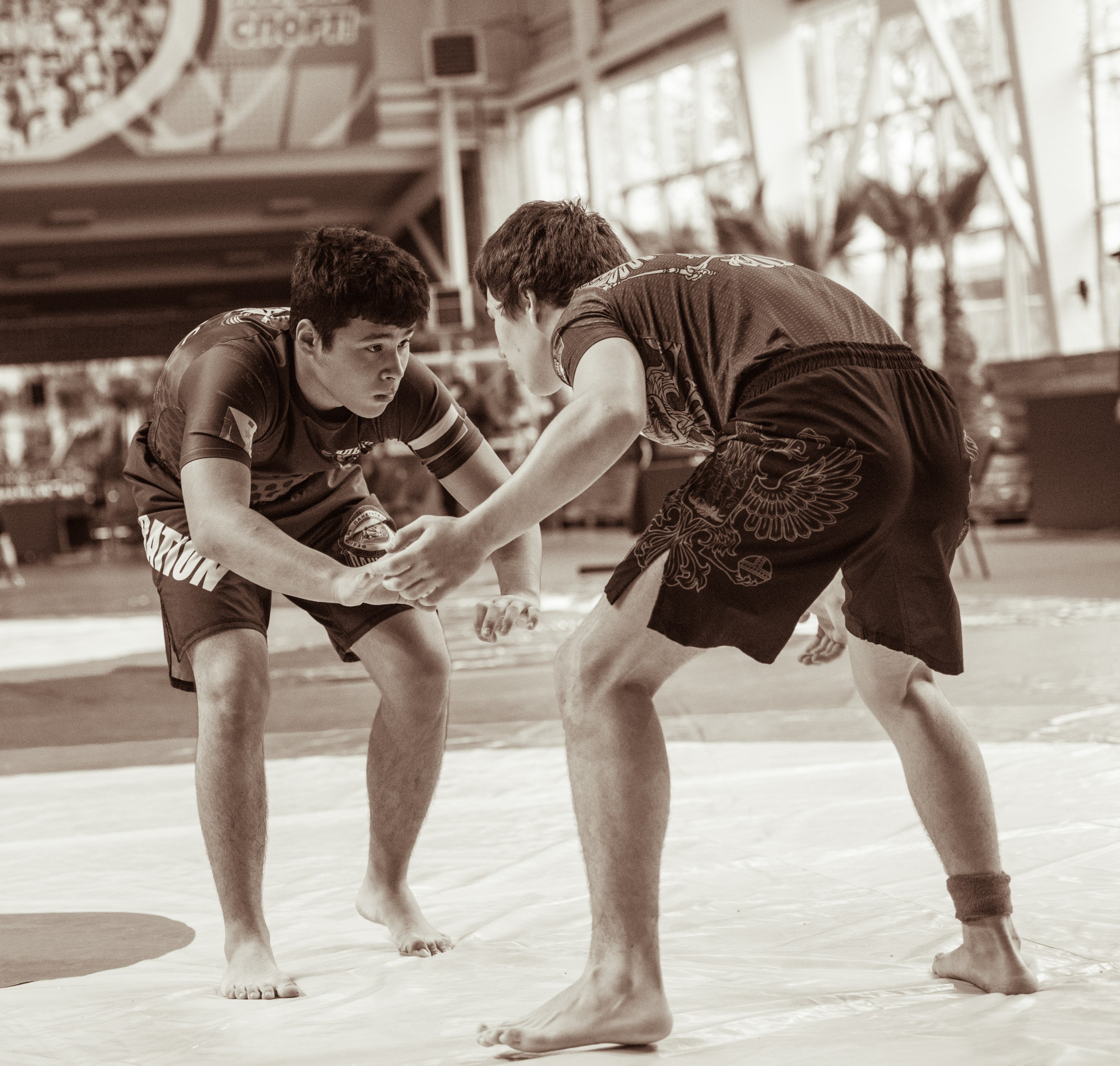 Греплинг. Денис Садовый фотограф Севастополь