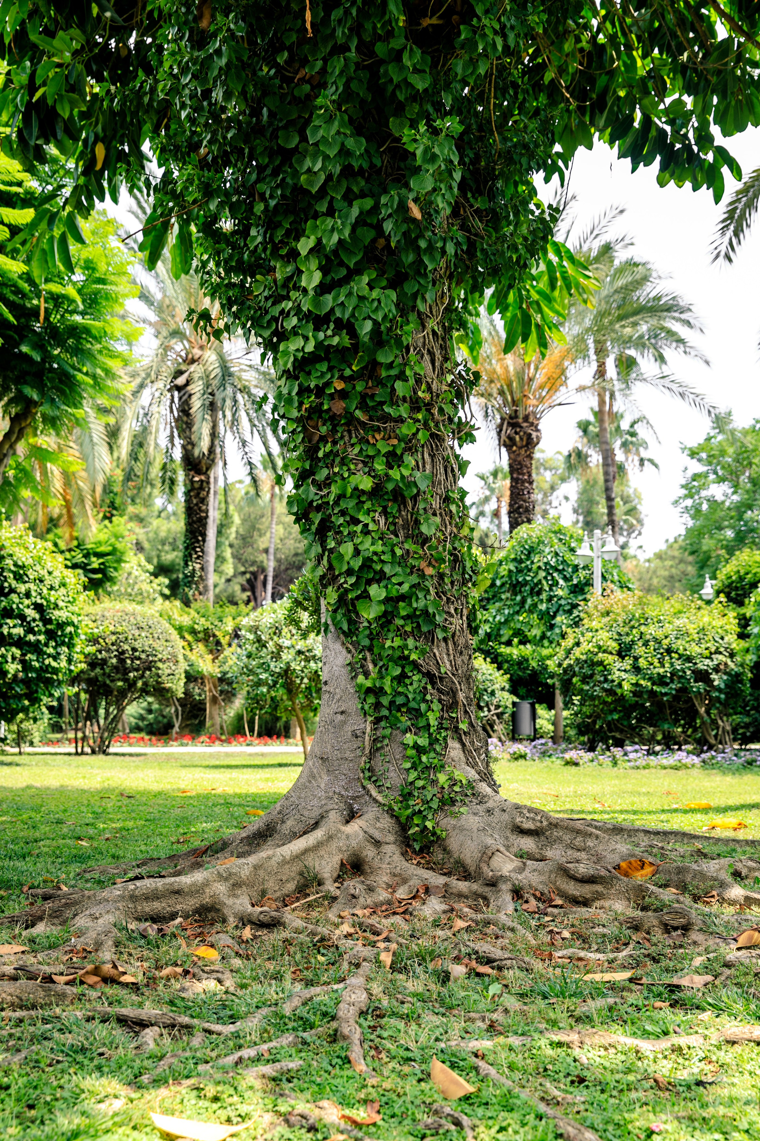 Алания. Фото департамент круизного лайнера Астория Гранде