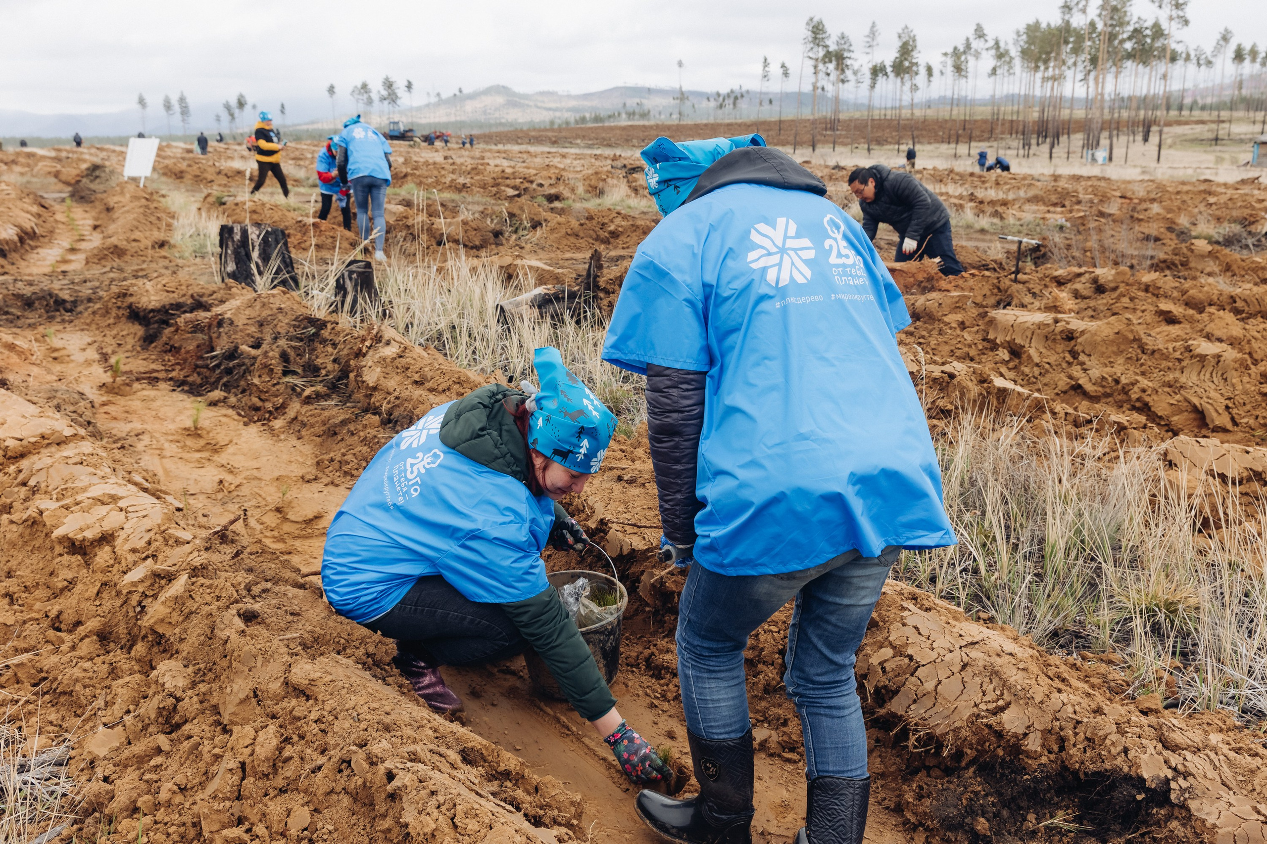 Siberian wellness. Ежегодная акция по посадке деревьев. Свадебный и семейный фотограф в Улан-Удэ