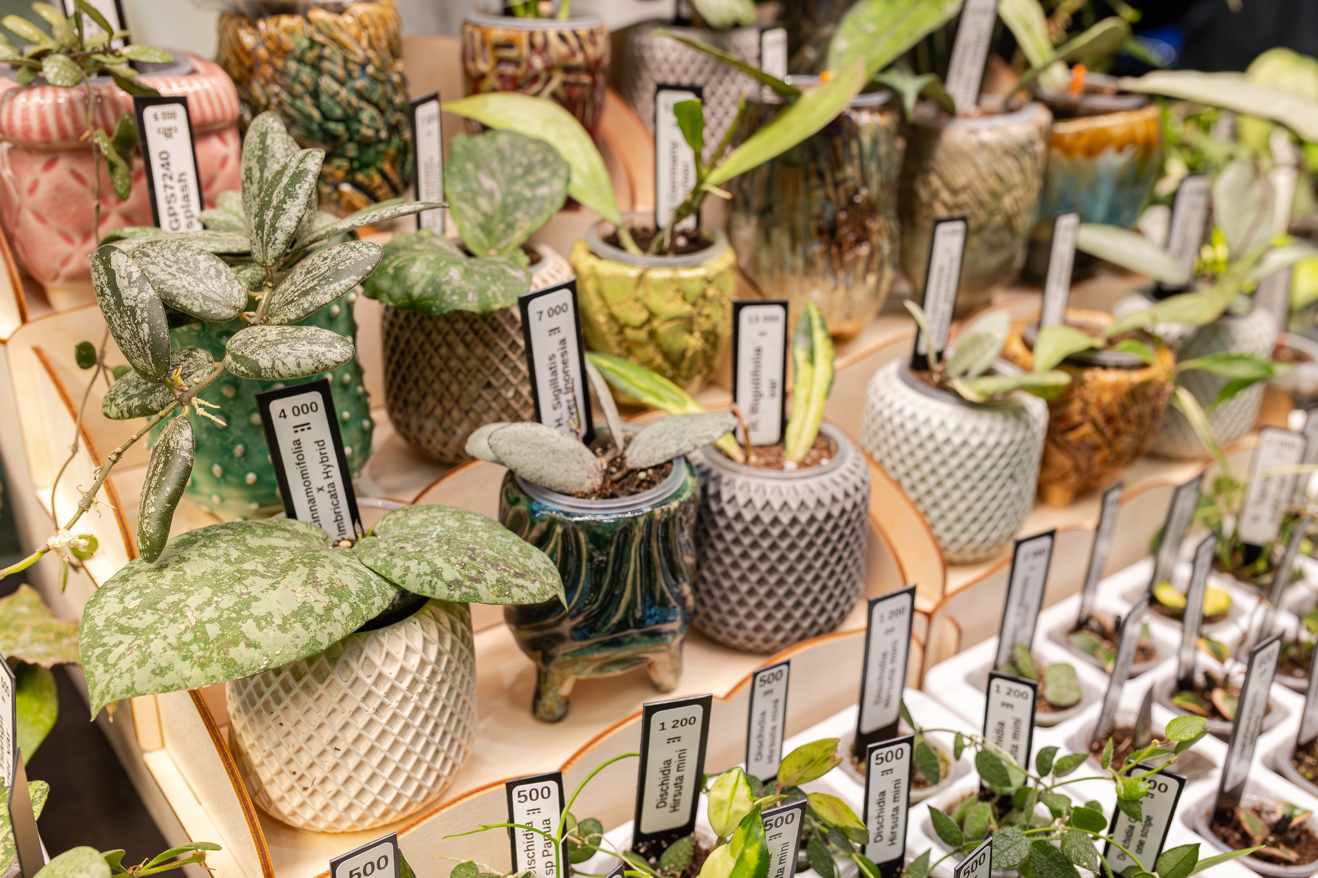 Монстериум апрель 2026. Александра Куликова фотограф, Москва