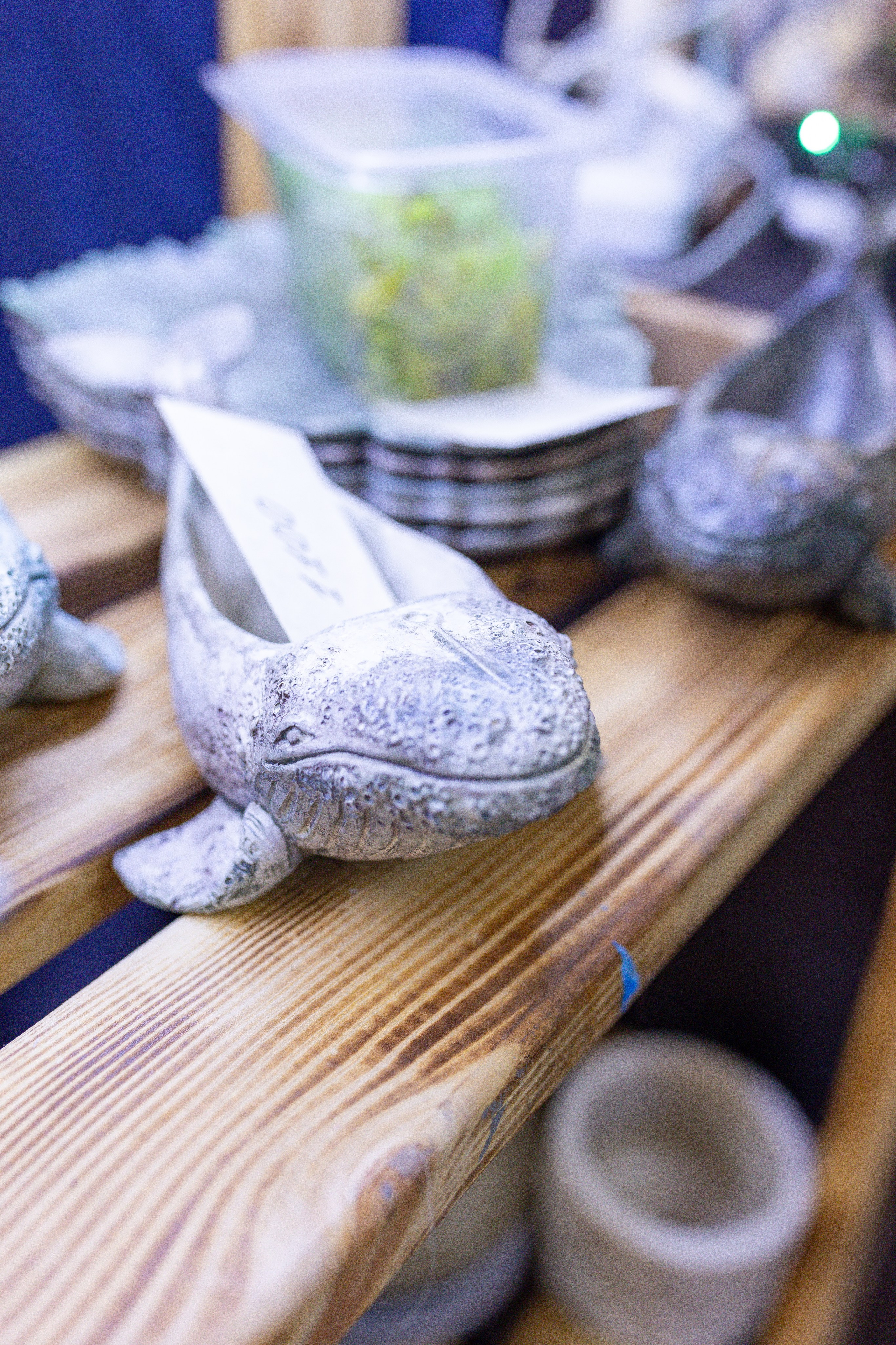 Орхидиум 12.2025. Александра Куликова фотограф, Москва