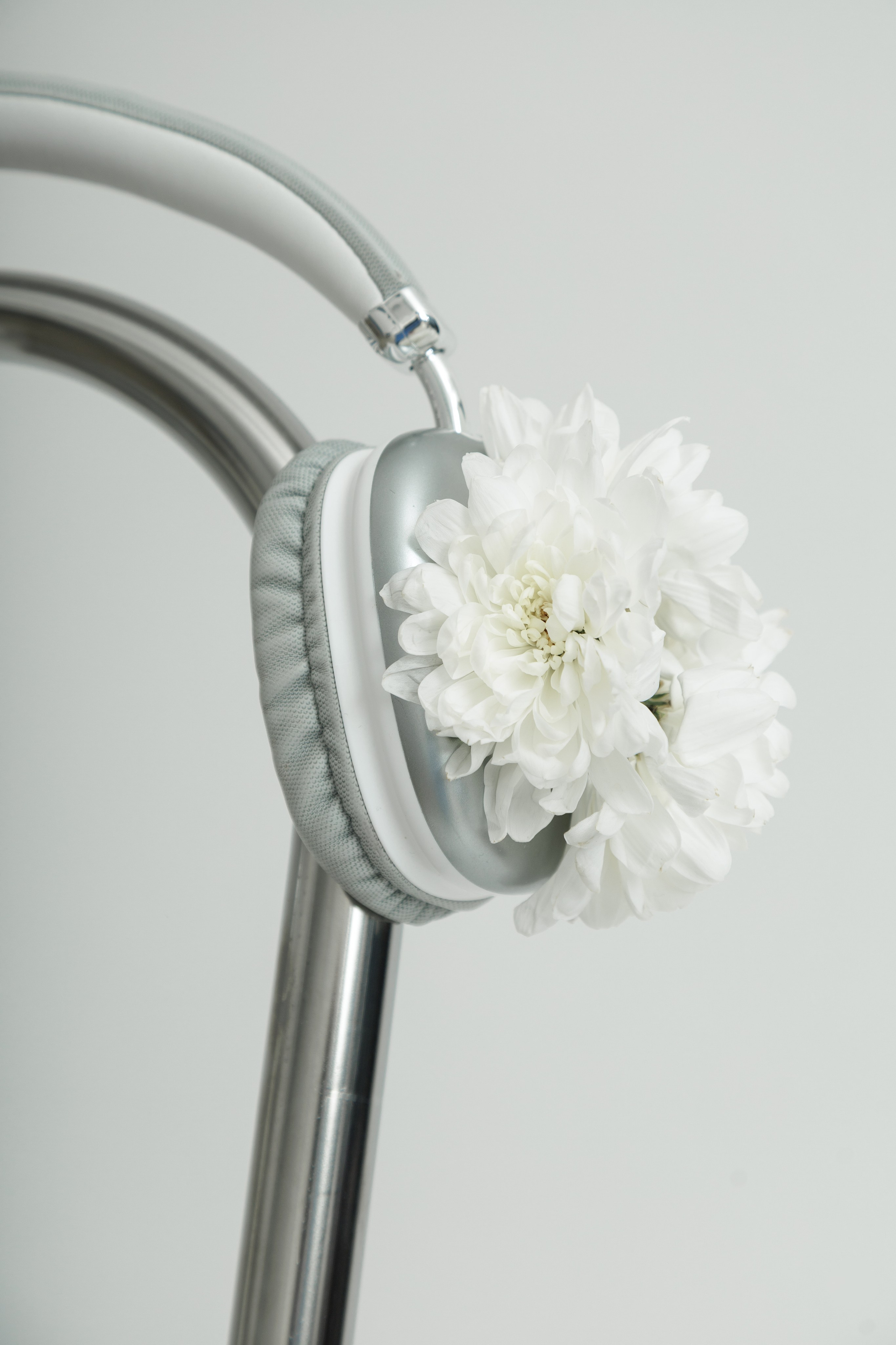 Контент. Контент-фотограф Надежда Нудельман