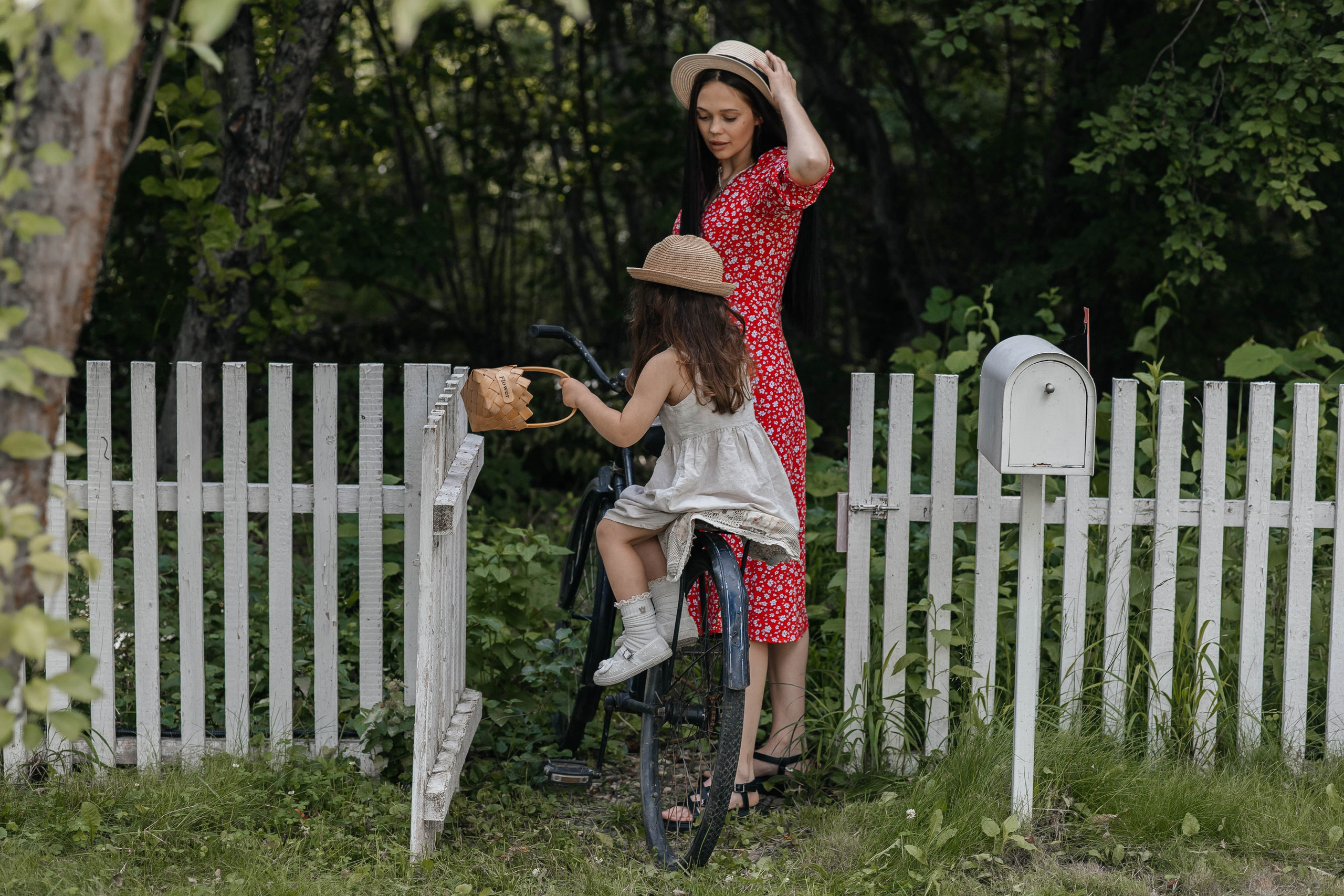 Дачная история