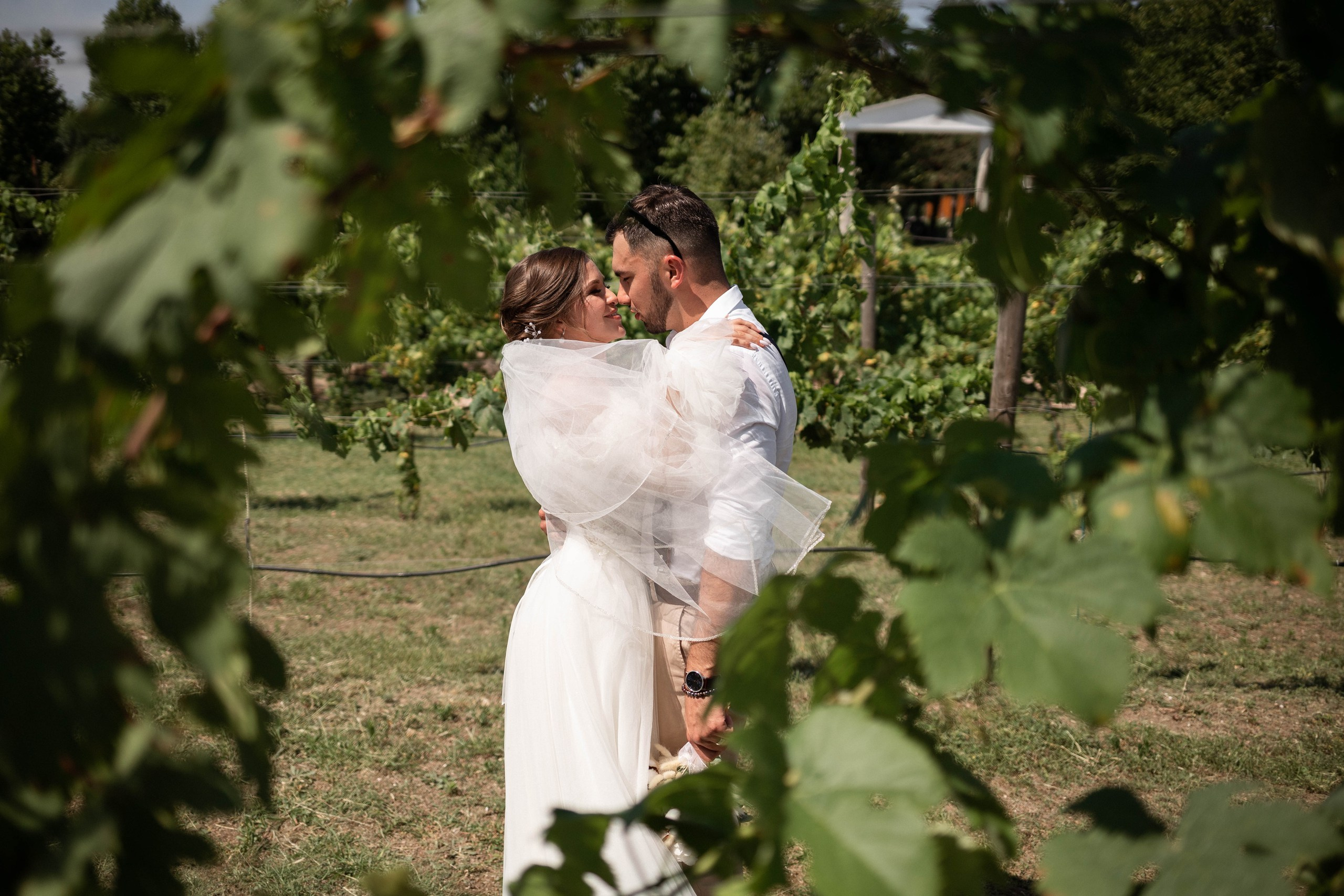 V&D. Семейный фотограф в Севастополе и Симферополе Александра Чистякова