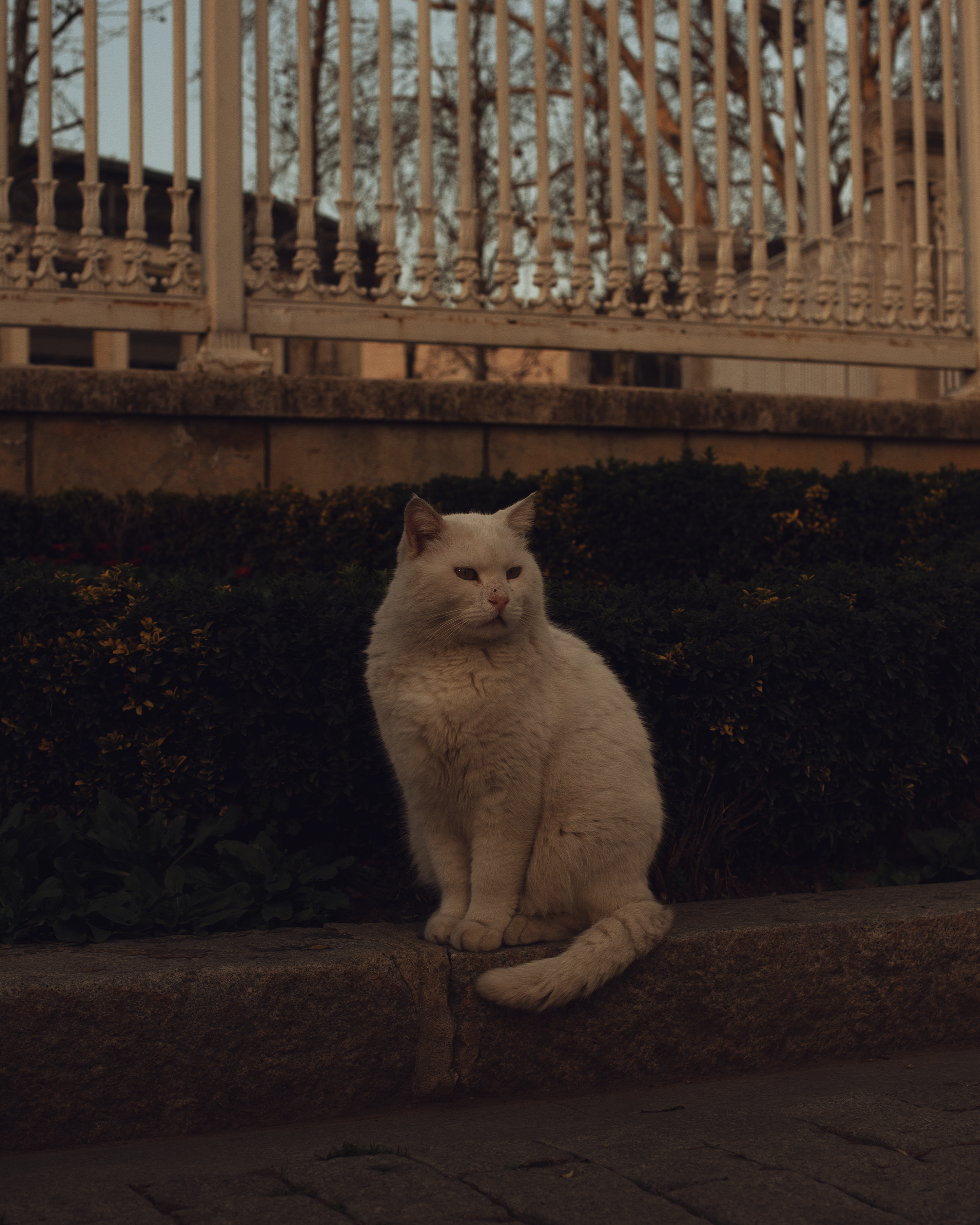 Стамбул в кадре: взгляд рекламного фотографа из Гуанчжоу. Коммерческий и предметный фотограф в Гуанчжоу Коваленко Александр