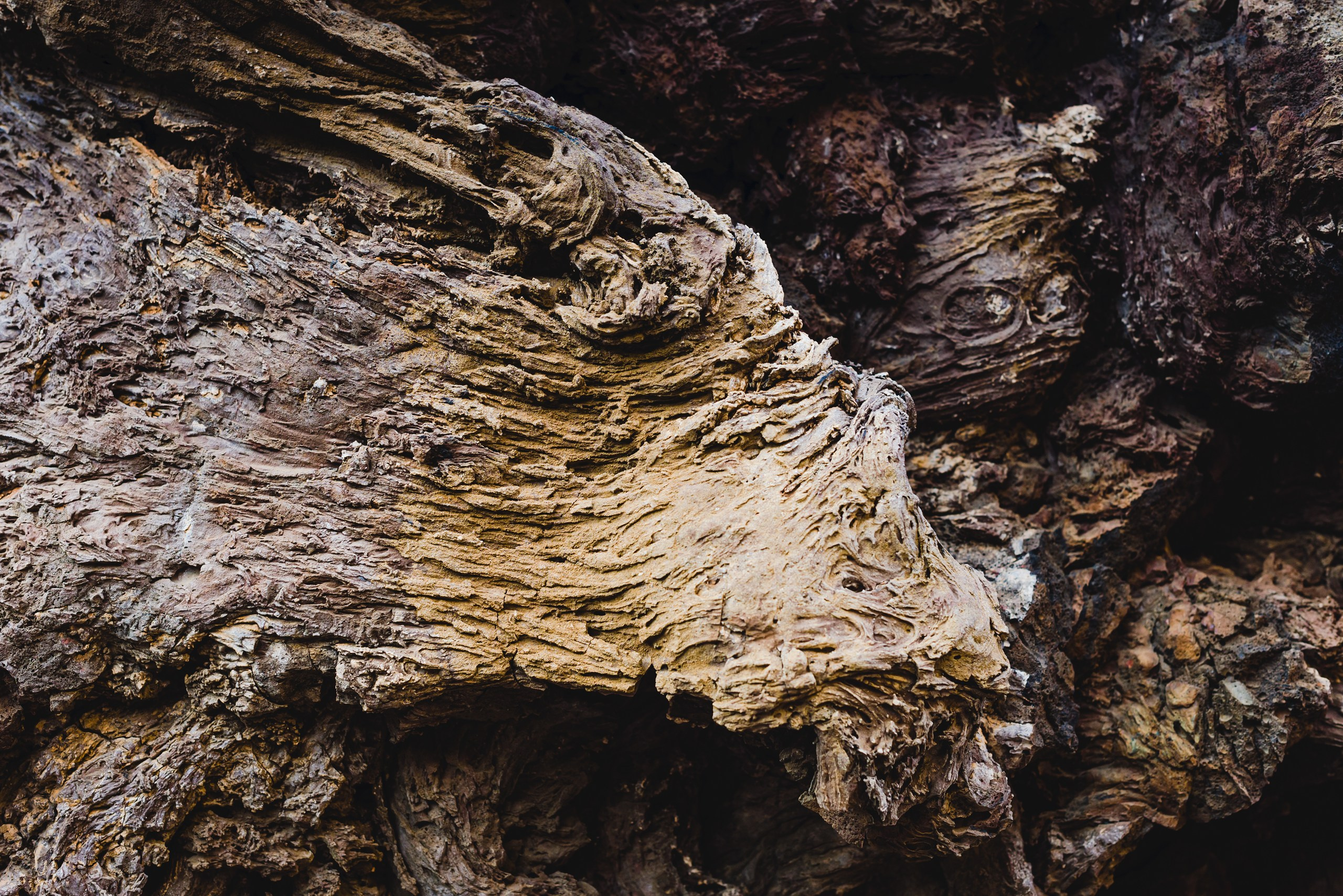 Осязаемая красота. Авторские стильные фотокартины