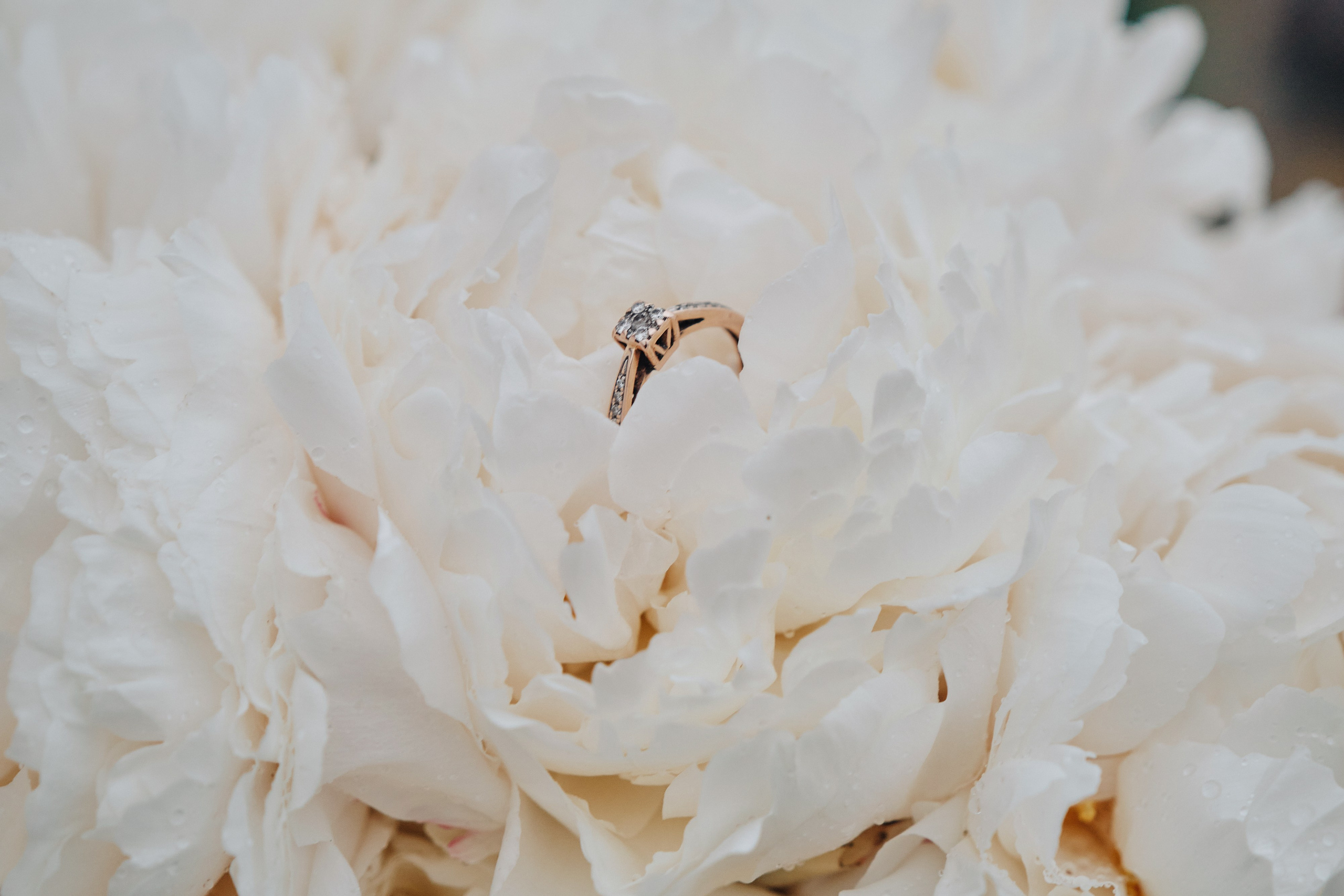 Никита и Диана. Лавстори на крыше. Портретный фотограф на новый год в Москве Виктория Колышева