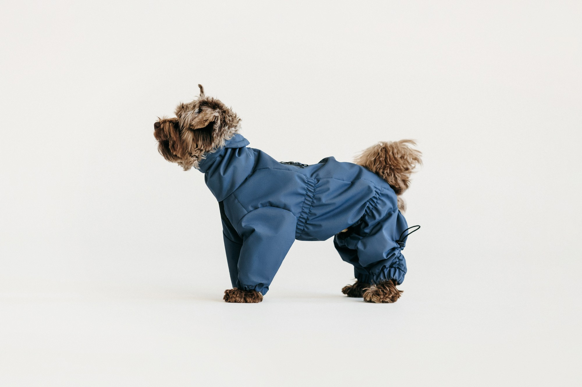 Одежда Lapa`s brand. Фотограф-анималист Елена Радченко, Москва