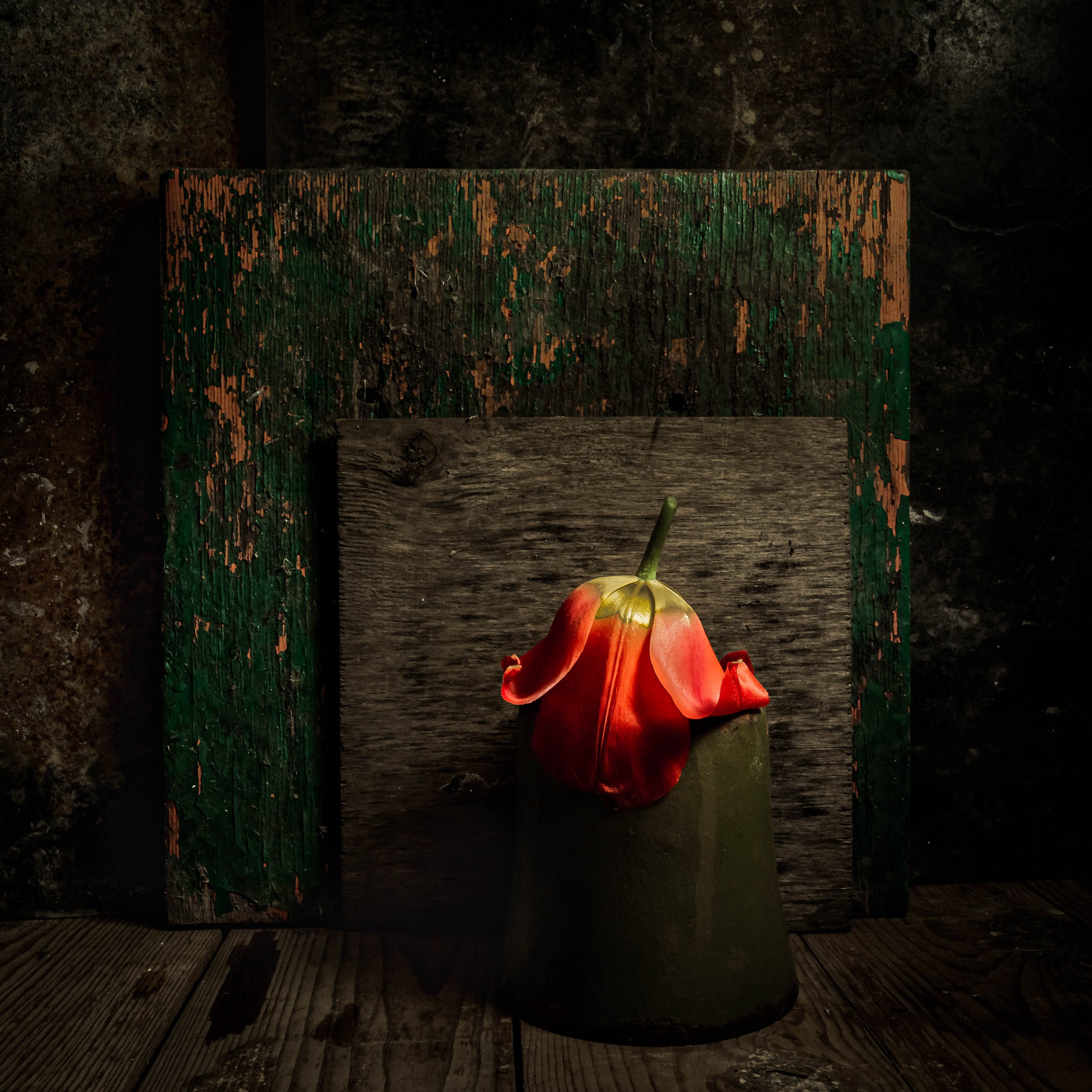 МИНИМАЛИЗМ. Фотограф в Москве Татьяна Макотра