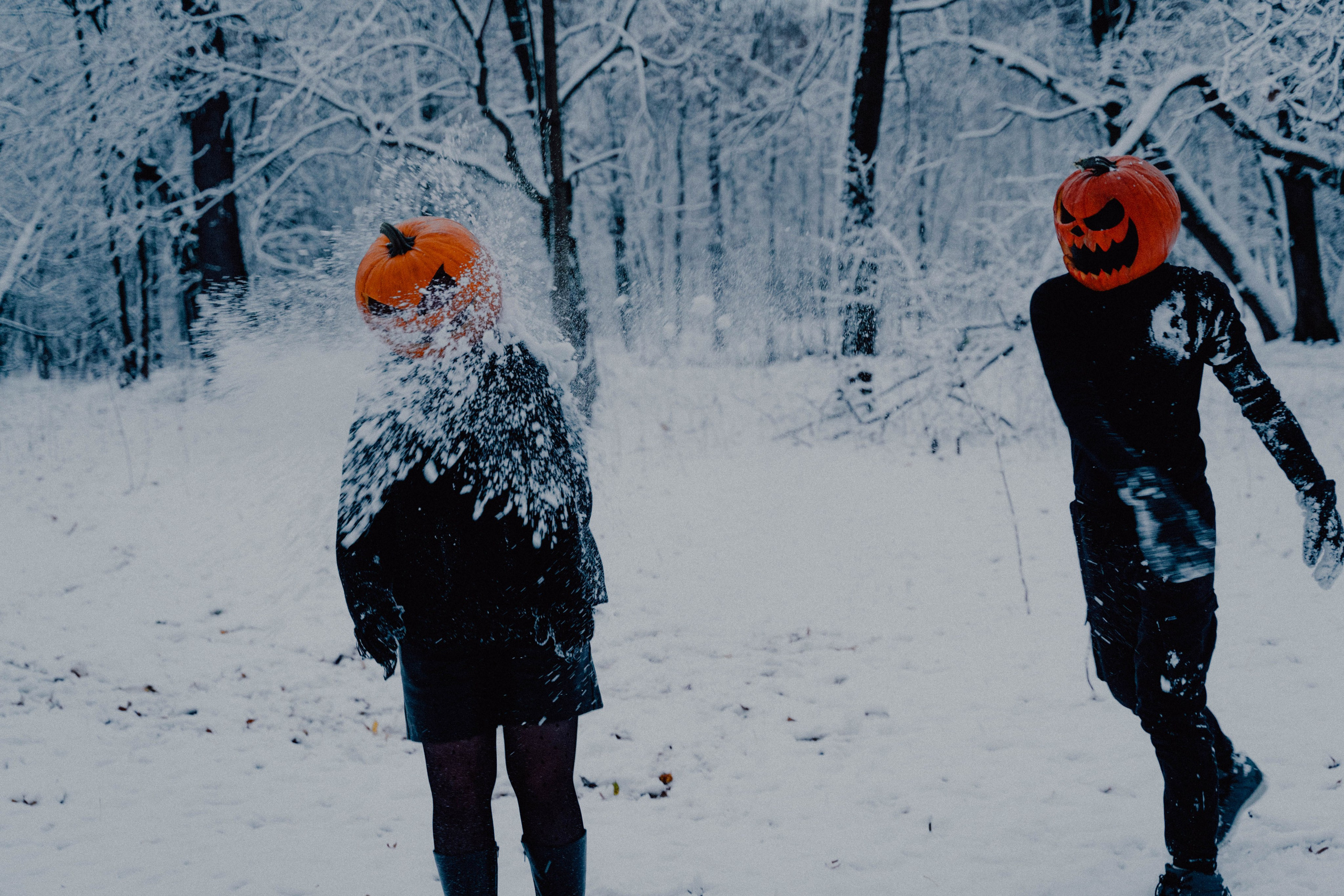 Pumpkin spice. Портретный фотограф в Москве Эмиль Халиков
