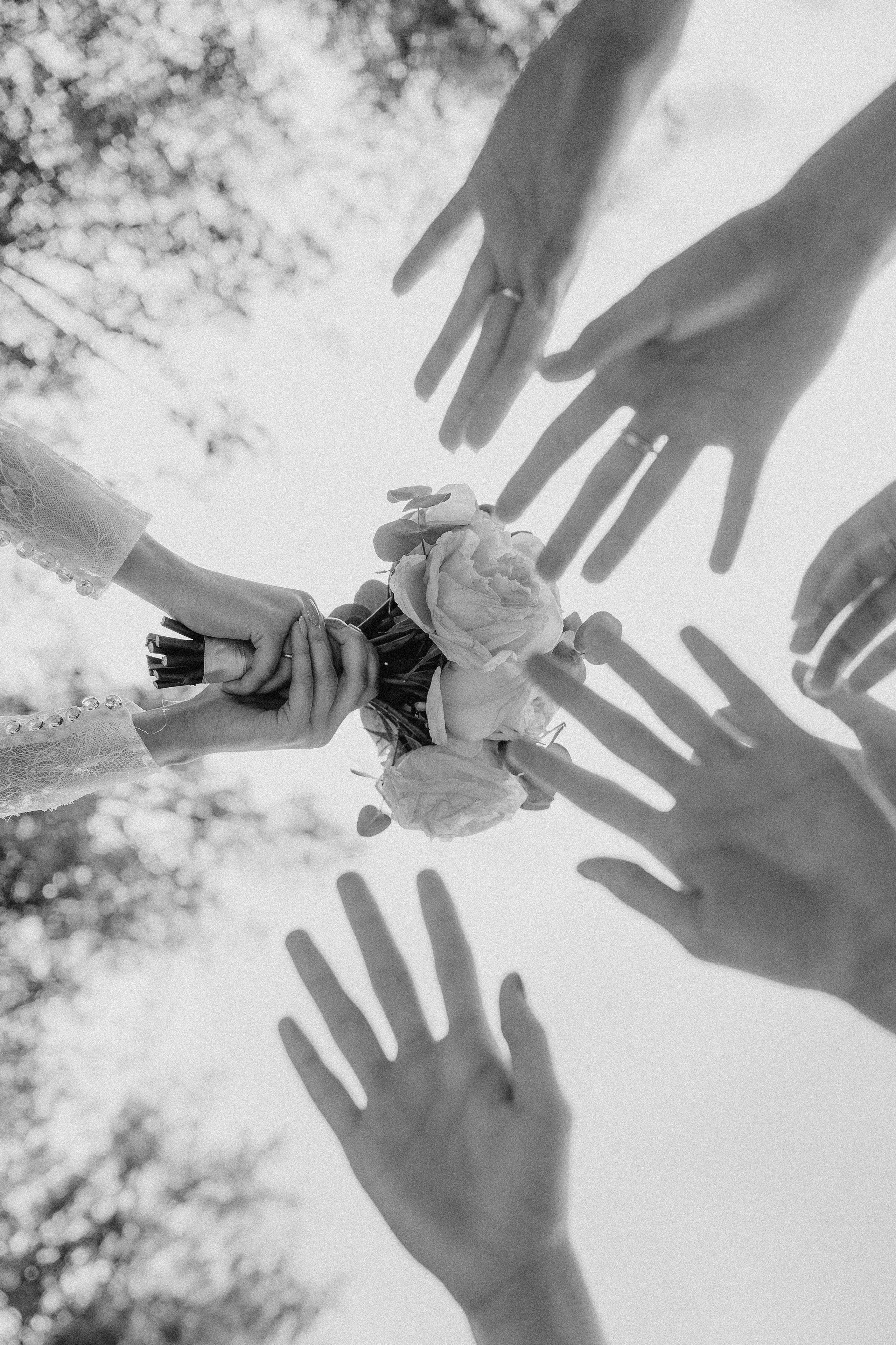 Фотосессия свадьбы Ивана и Александры в парке Горки Ленинские