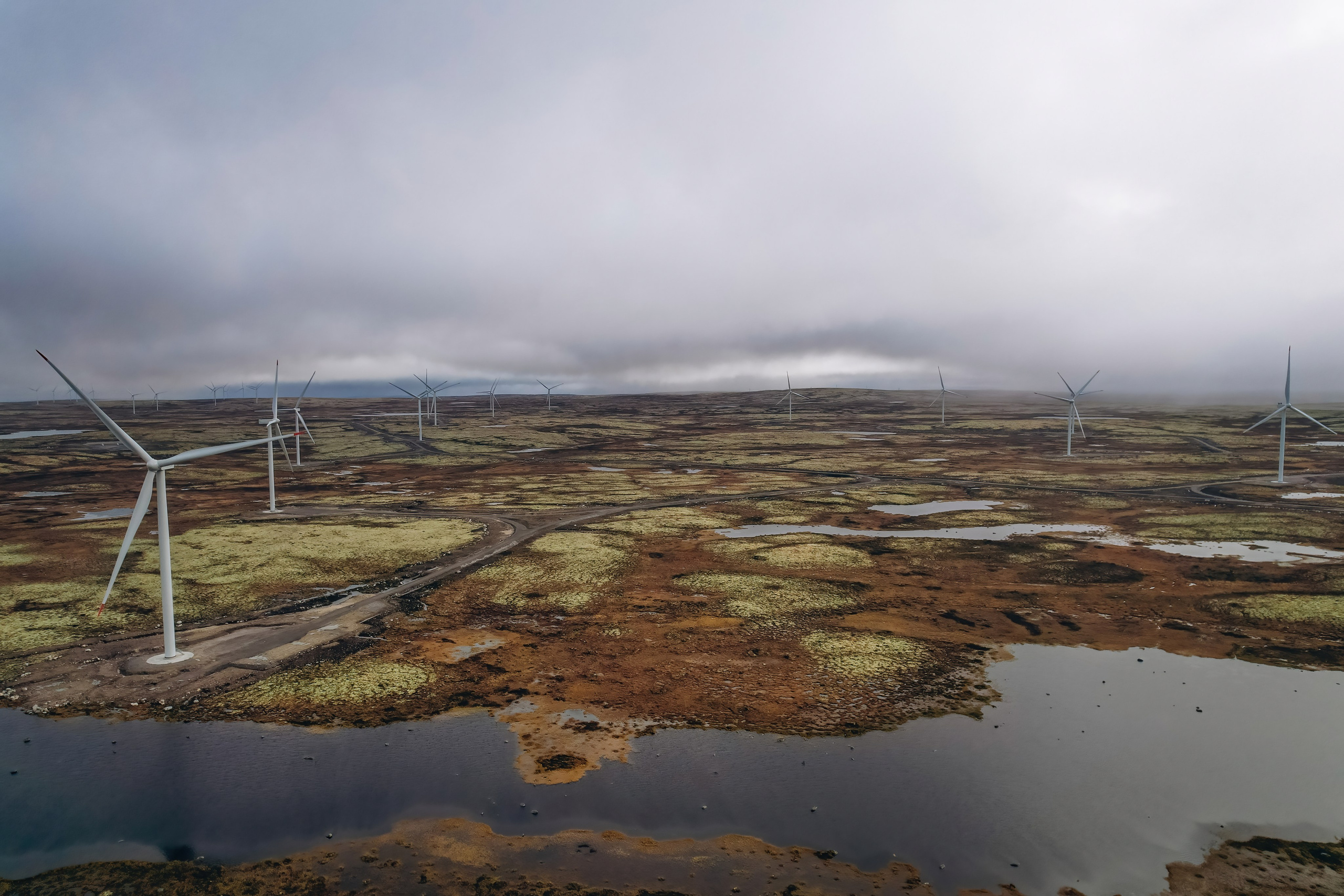СЕВЕР. Event фотограф Степанова Александра