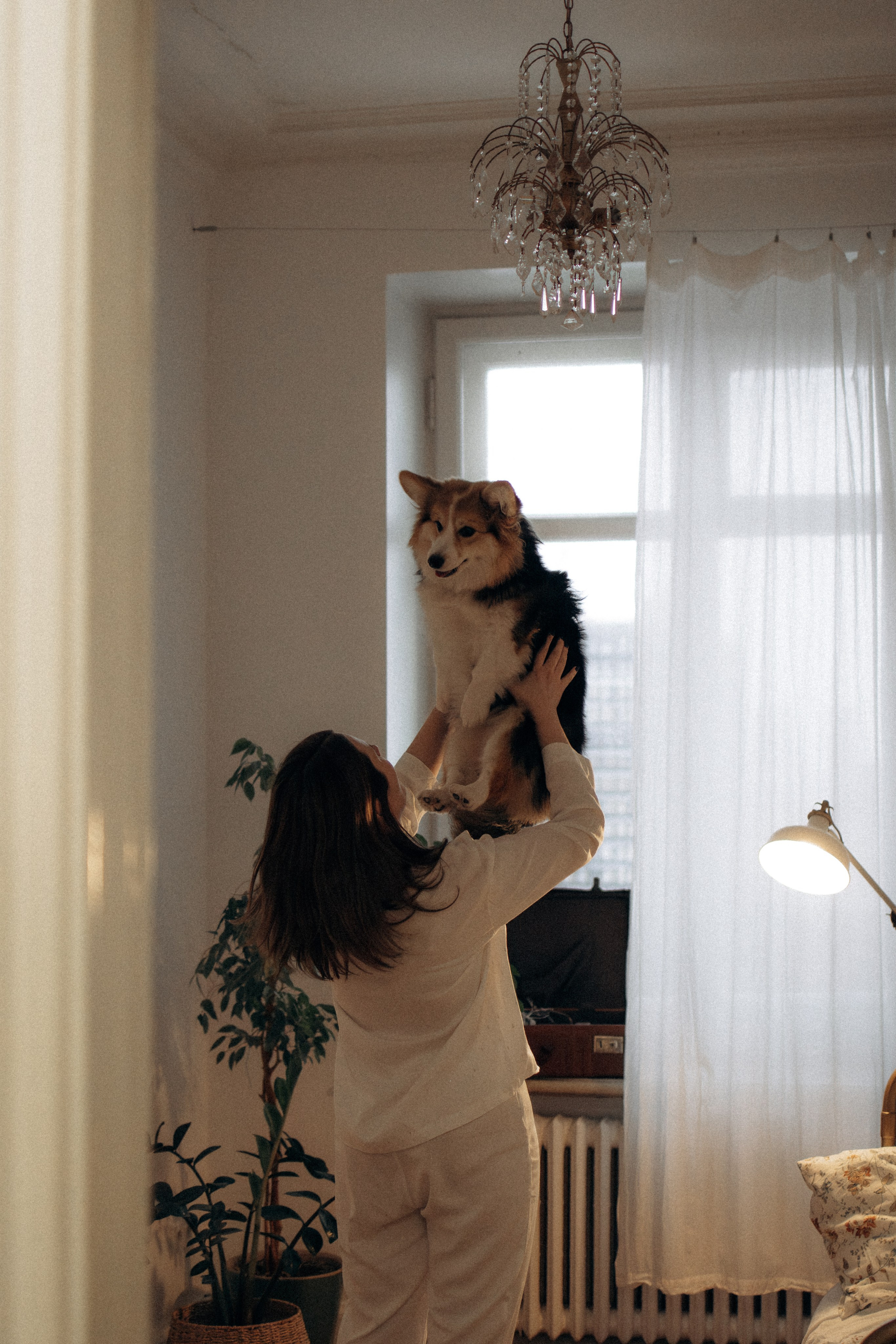 Мишель и Влада. Фотораф — анималист Мария Шистка