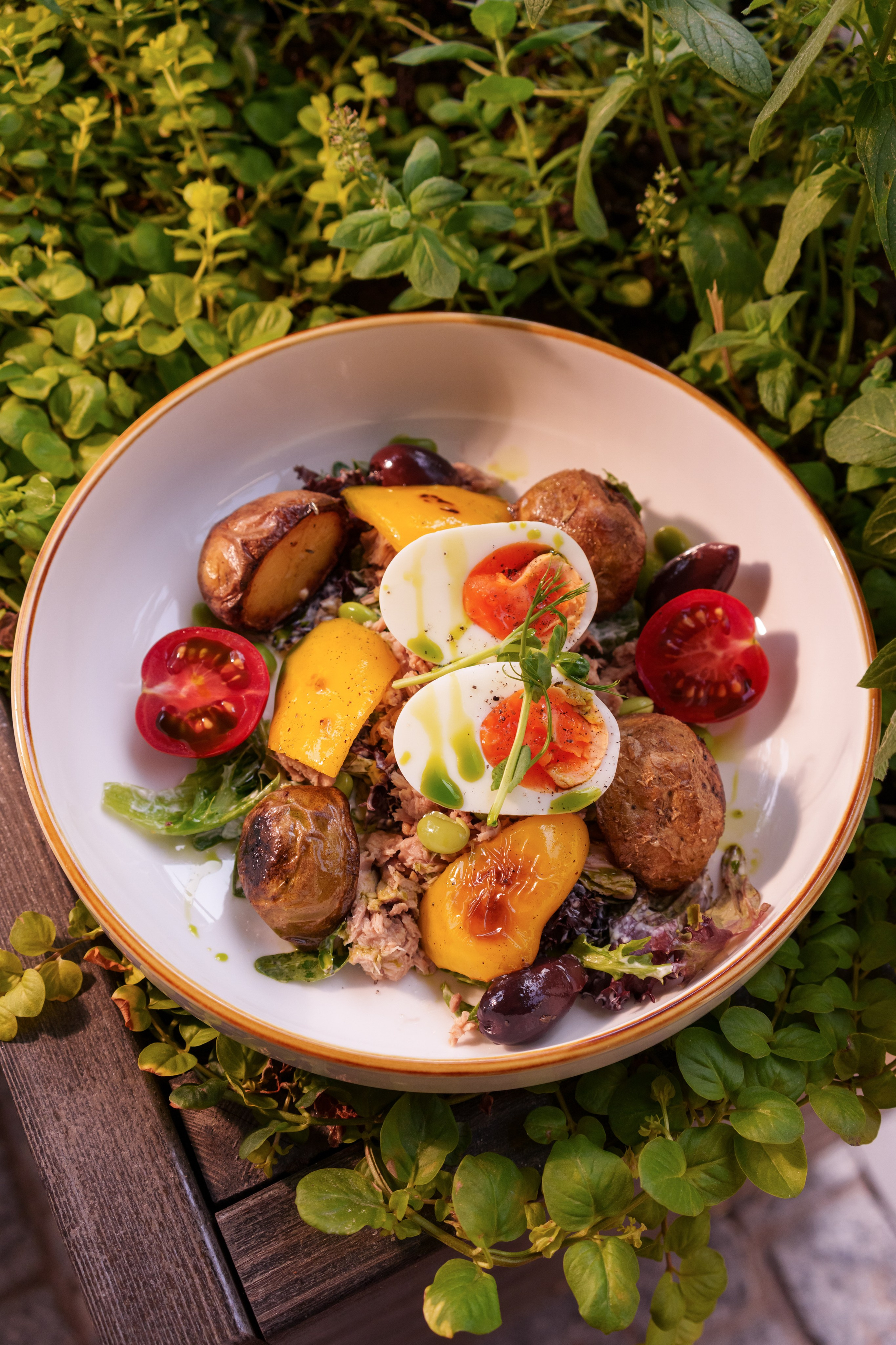 Ресторан | Бар. Фотограф в Санкт-Петербурге Лена Голубева