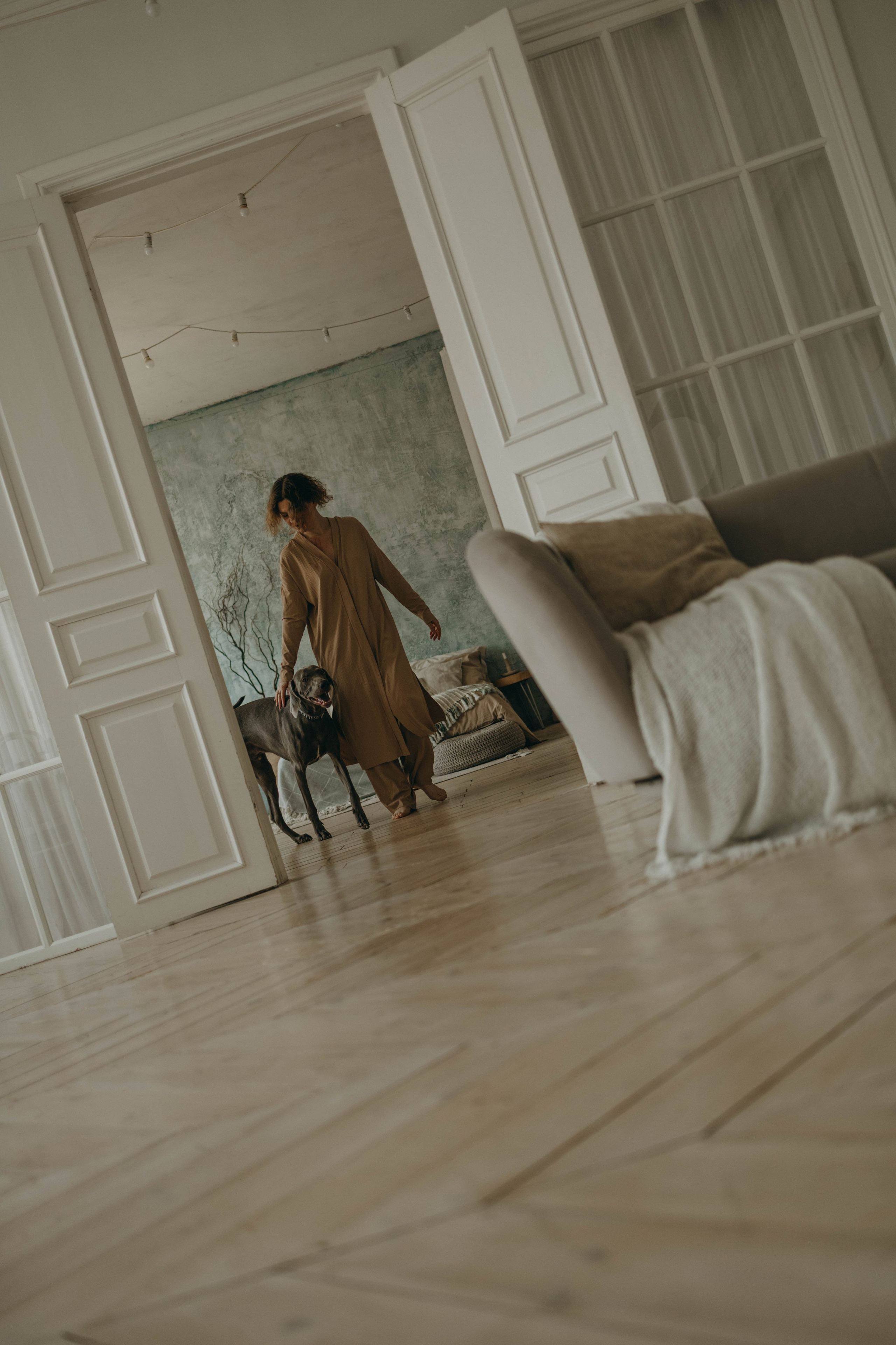 Фотосессия в студии с собакой. Фотограф-анималист в Екатеринбурге | Кристина